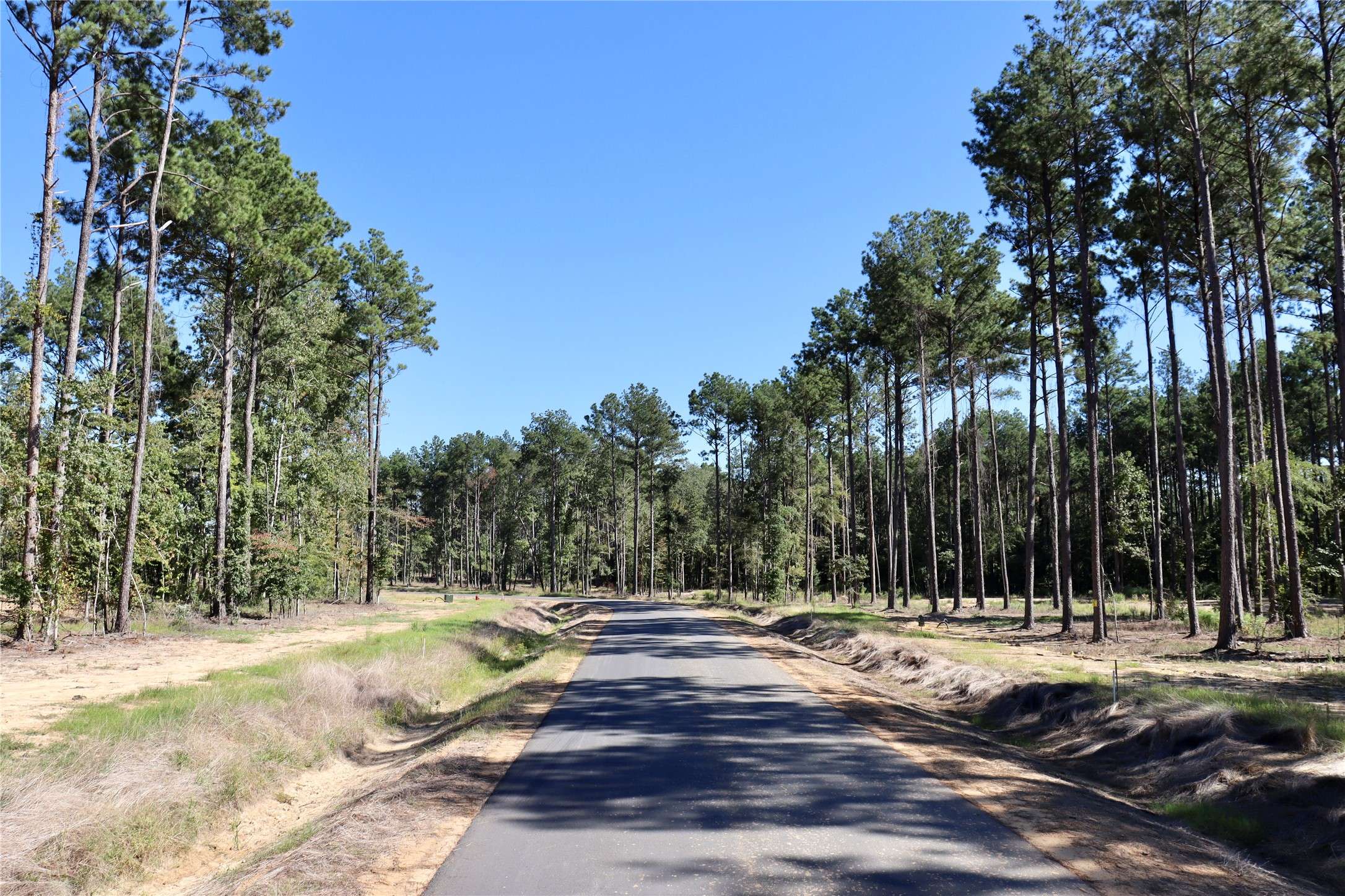 Princeton, LA 71067,214 Mercy WAY #84