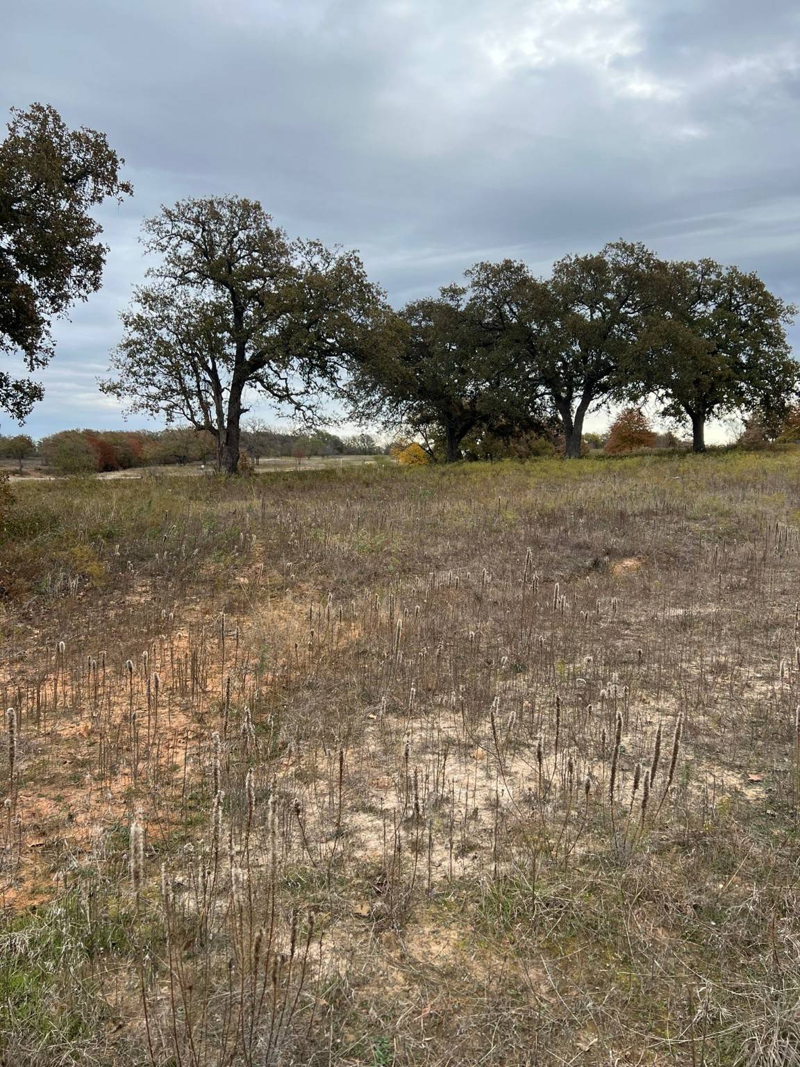 Springtown, TX 76082,1073 Gonzollas RD