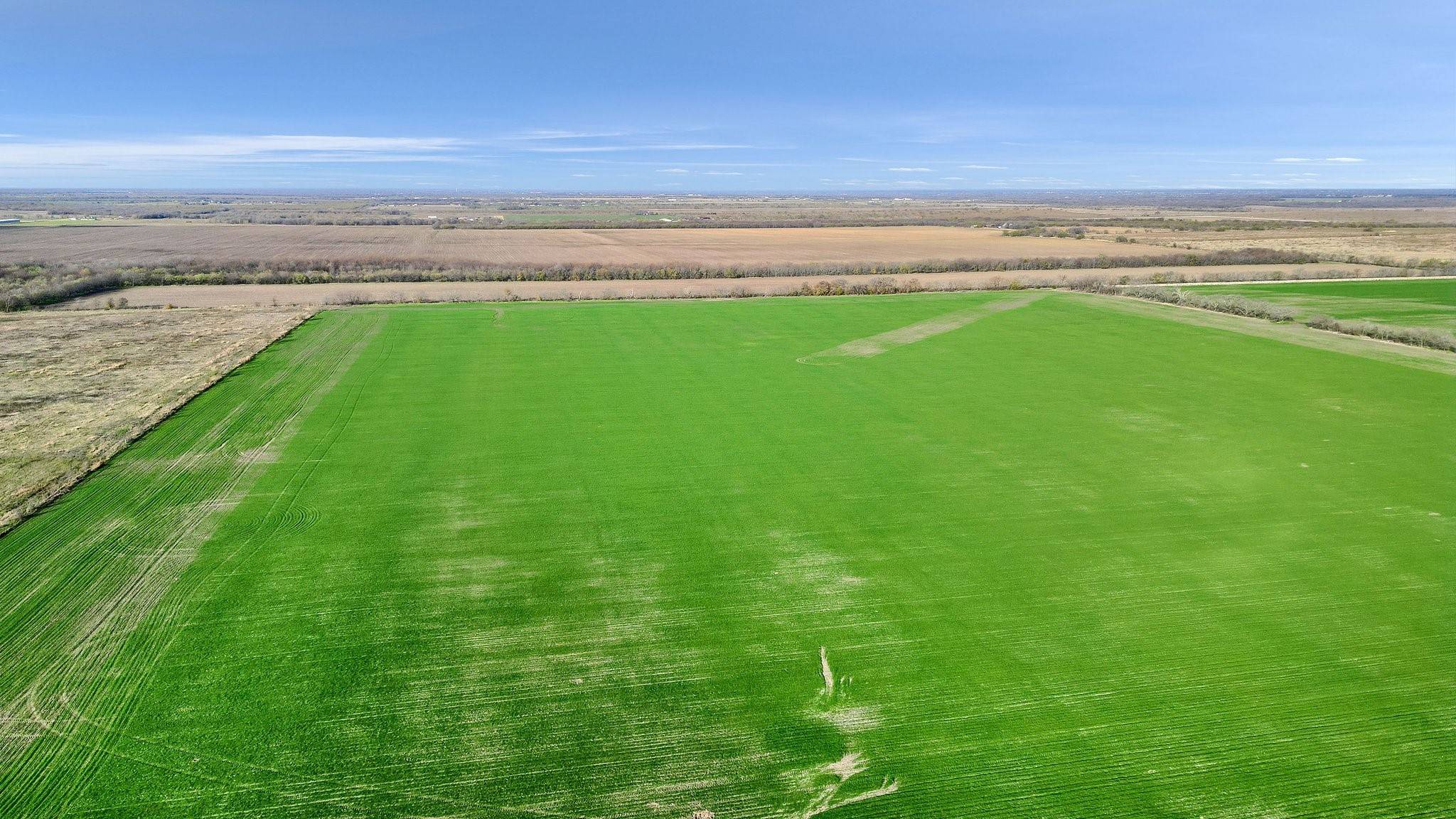 Gunter, TX 75058,TBD C 12 AC Wall Street RD