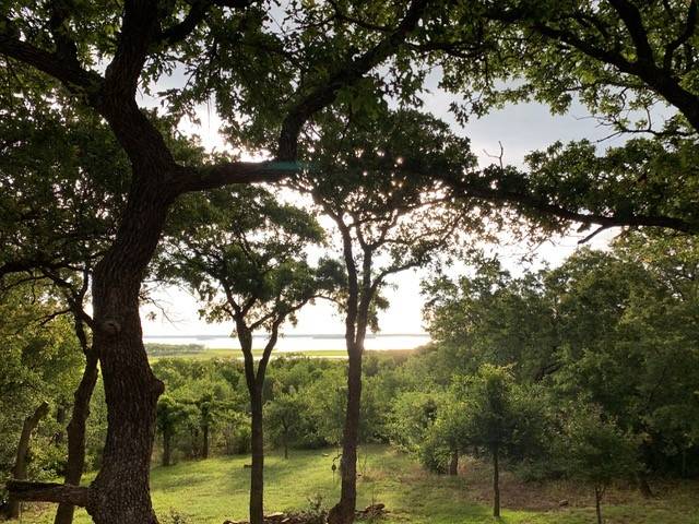 Runaway Bay, TX 76426,Lot 6 & 24 Hogan PL