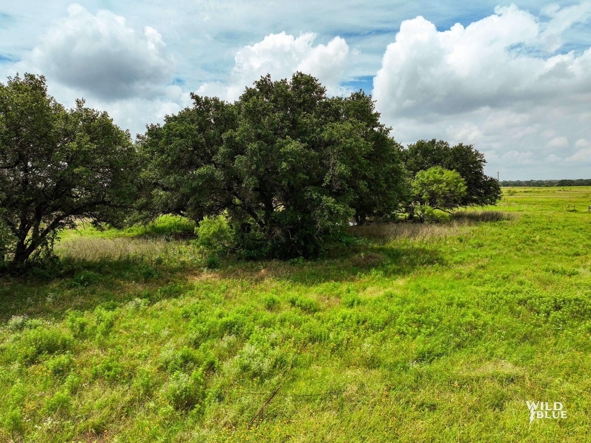 Palo Pinto, TX 76484,Lot 21 Canyon Ranch RD