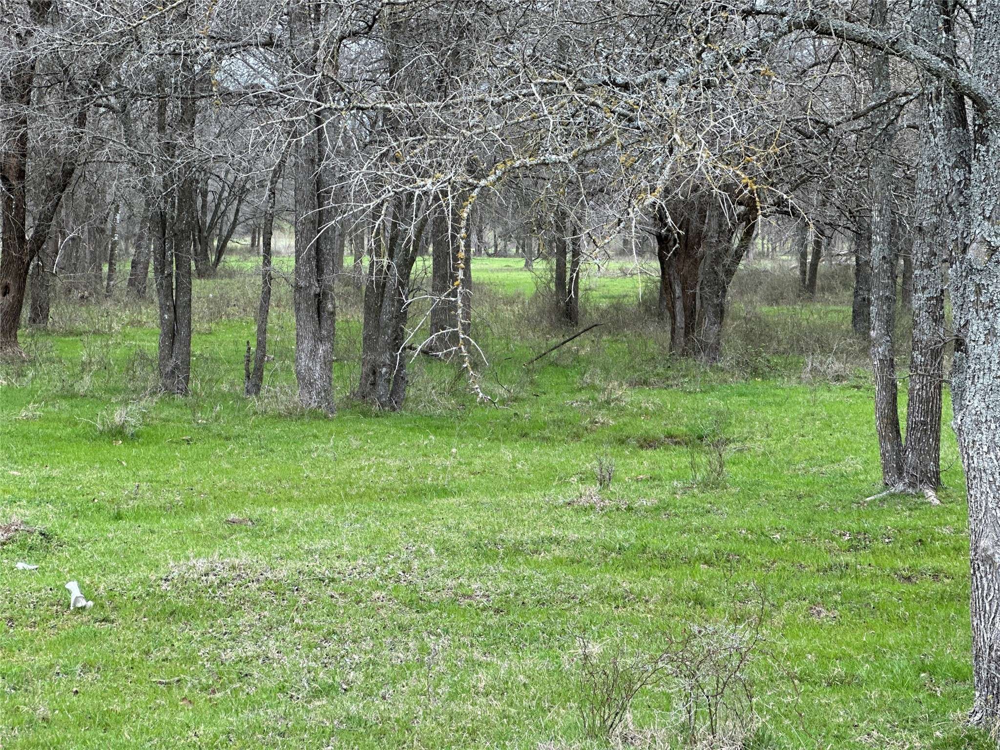Covington, TX 76636,Lot3 Blk1 TBD SH 171