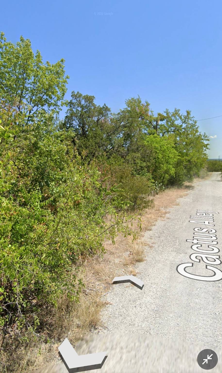 Granbury, TX 76048,2202 Cactus ALY