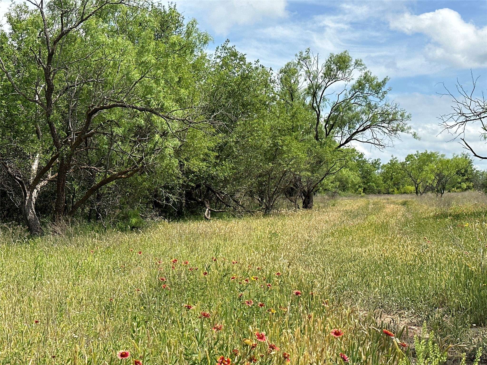 Abilene, TX 79601,Tract 8 CR 107