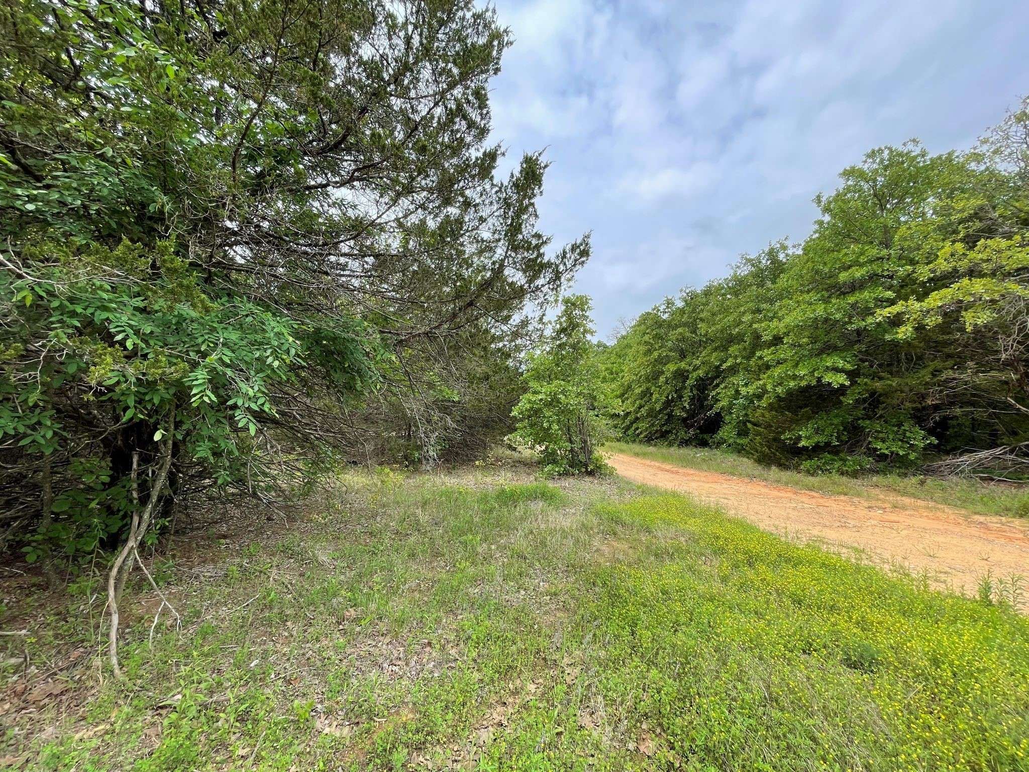 Gordonville, TX 76245,489 Clubhouse RD