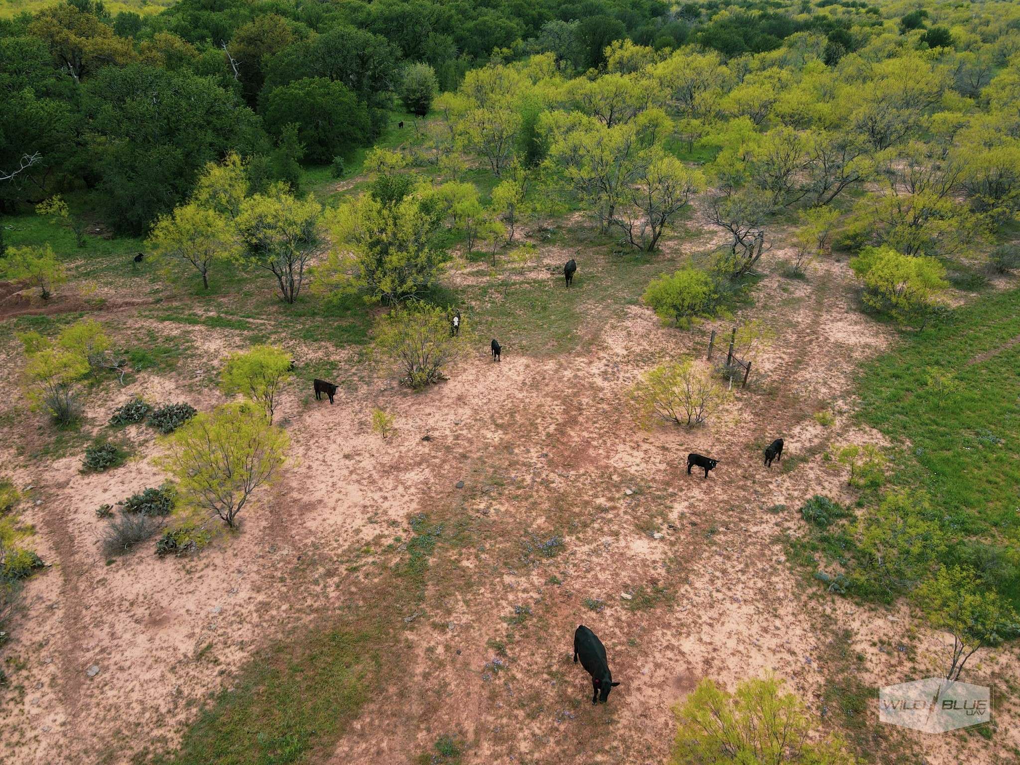 Santa Anna, TX 76878,TBD CR 210