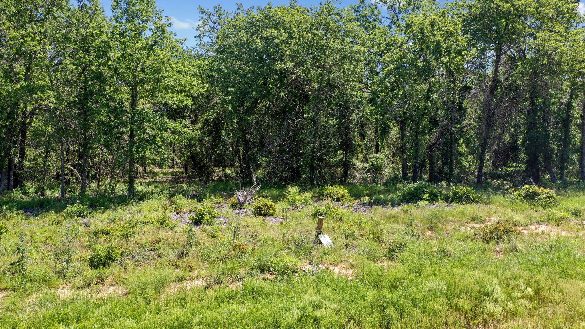 Poolville, TX 76487,3028 Creekwood TER