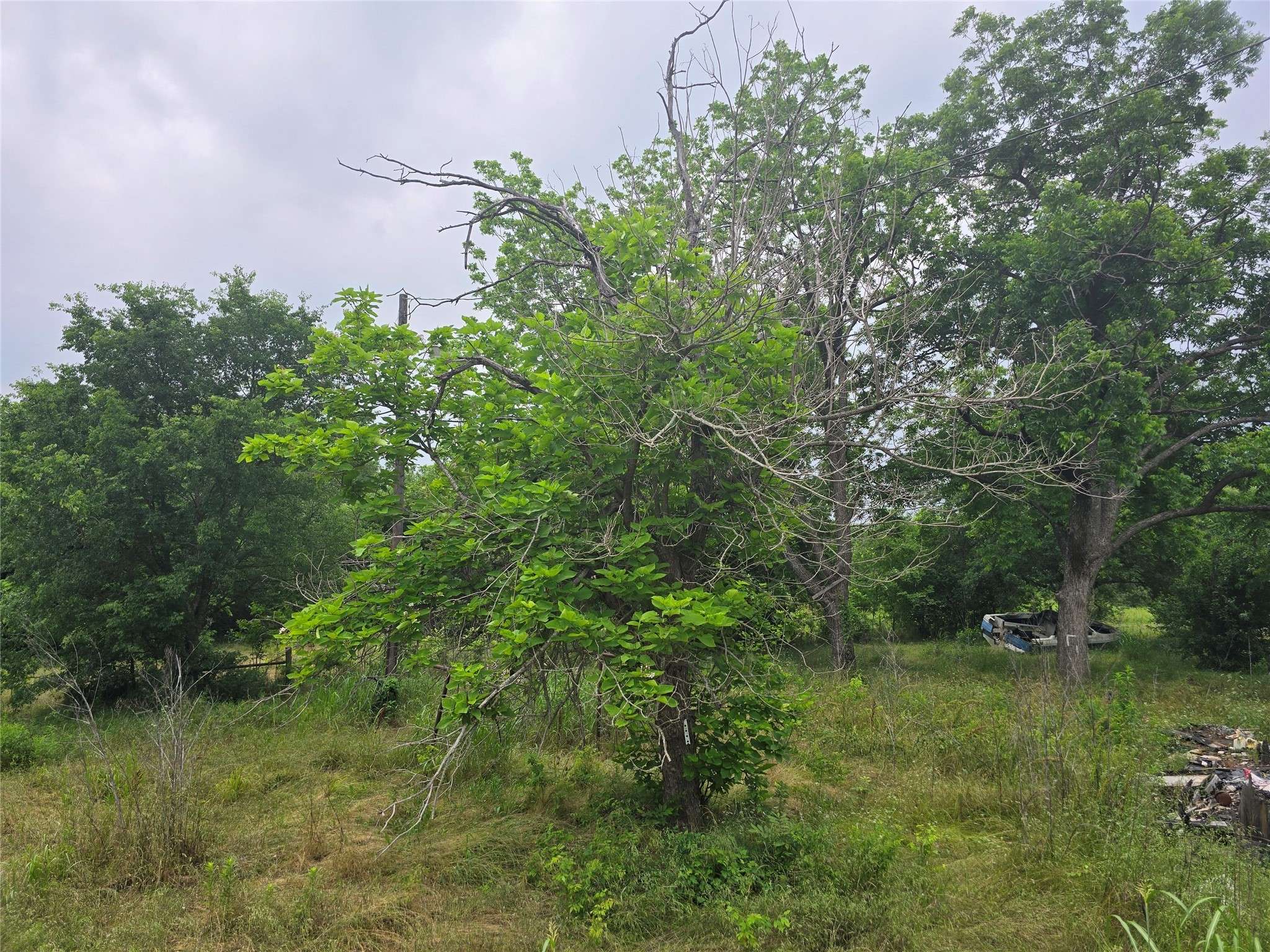 Streetman, TX 75859,504 E Rischer ST