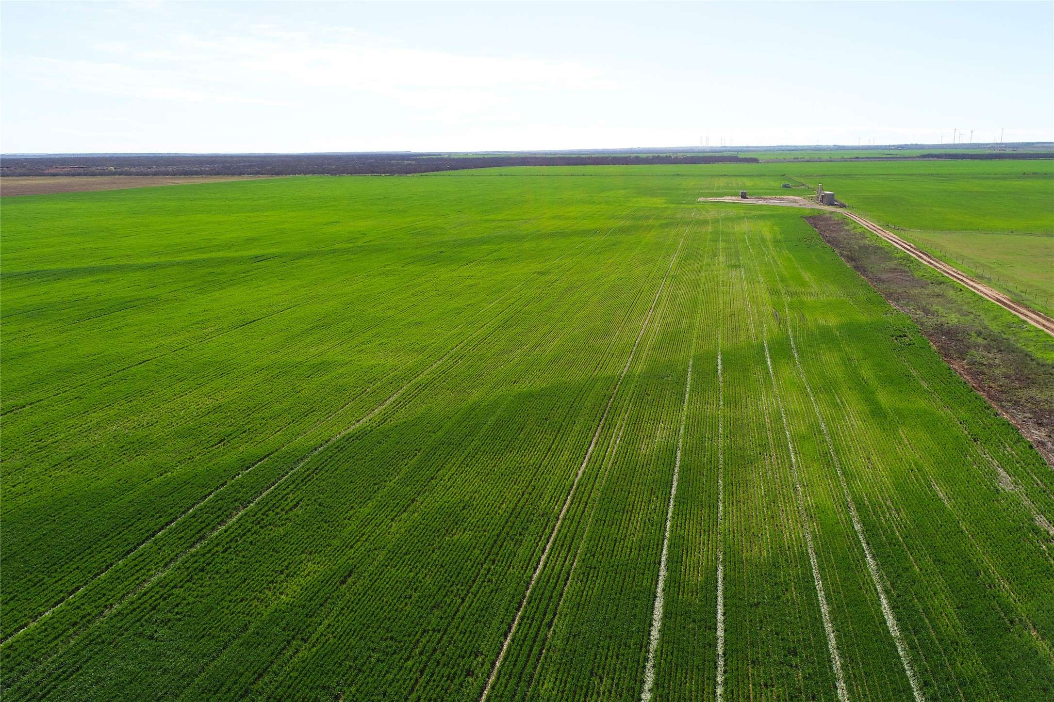 Vernon, TX 76384,TBD County Rd 81 S