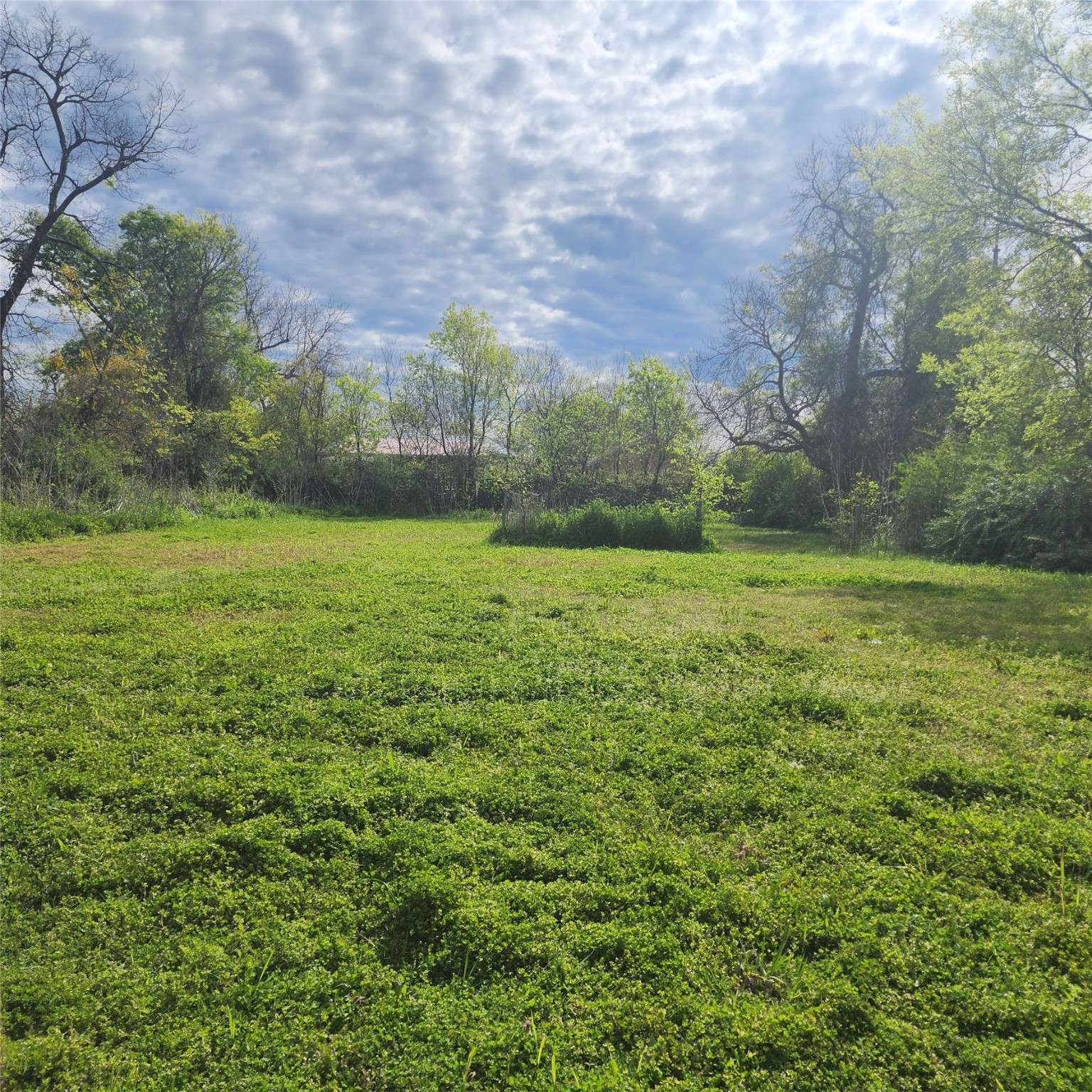 Greenville, TX 75401,2927 Wellington ST