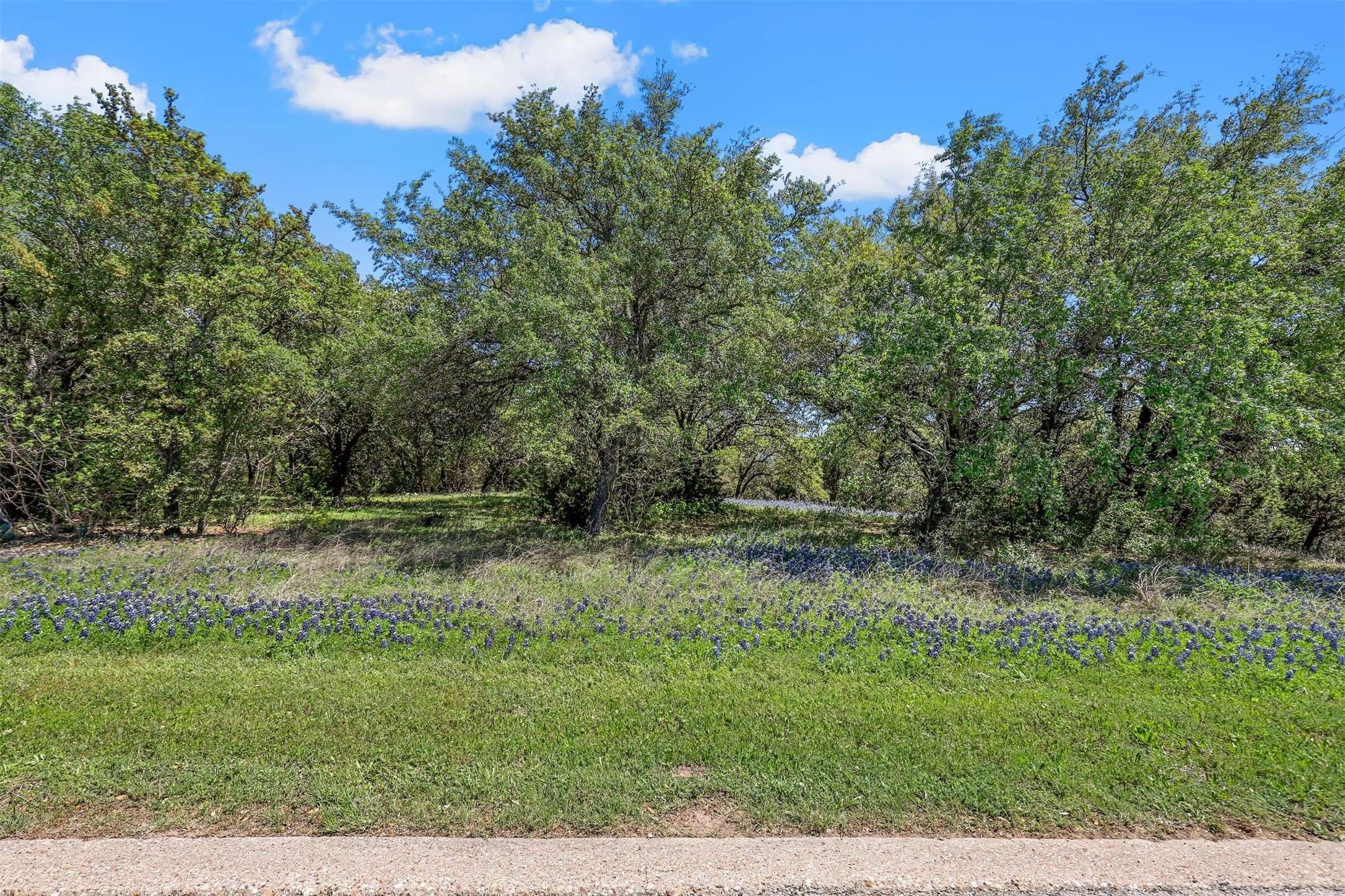 Cleburne, TX 76033,7421 Roxburghe DR