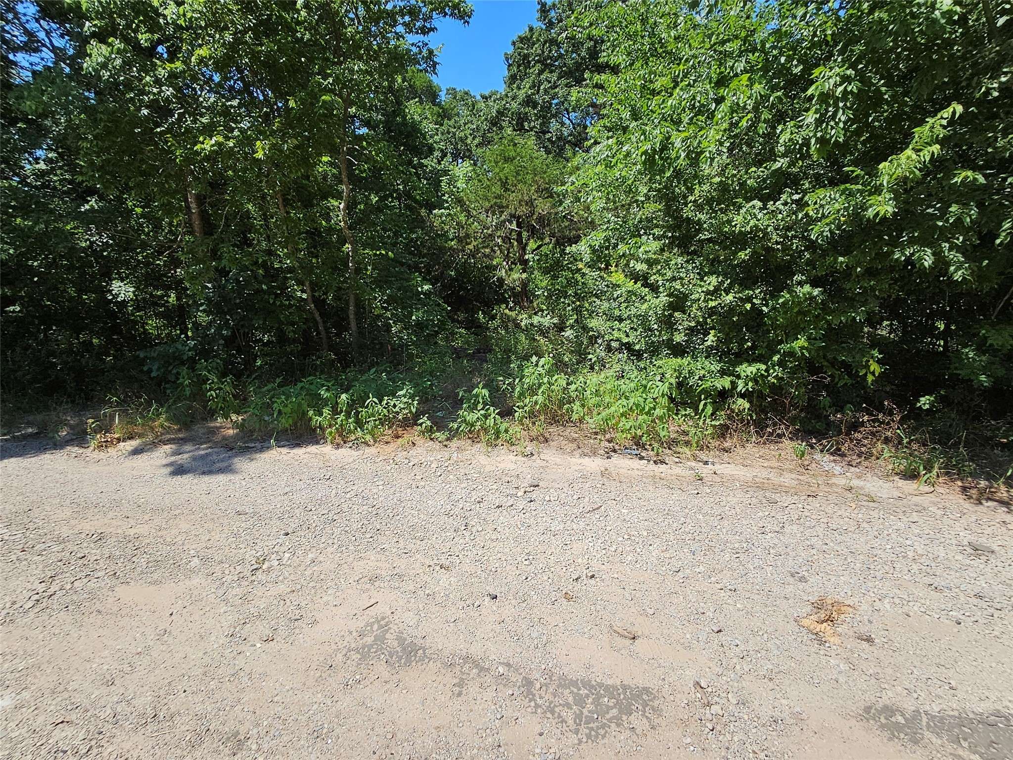 Quinlan, TX 75474,Lot 1 Bird Hill DR