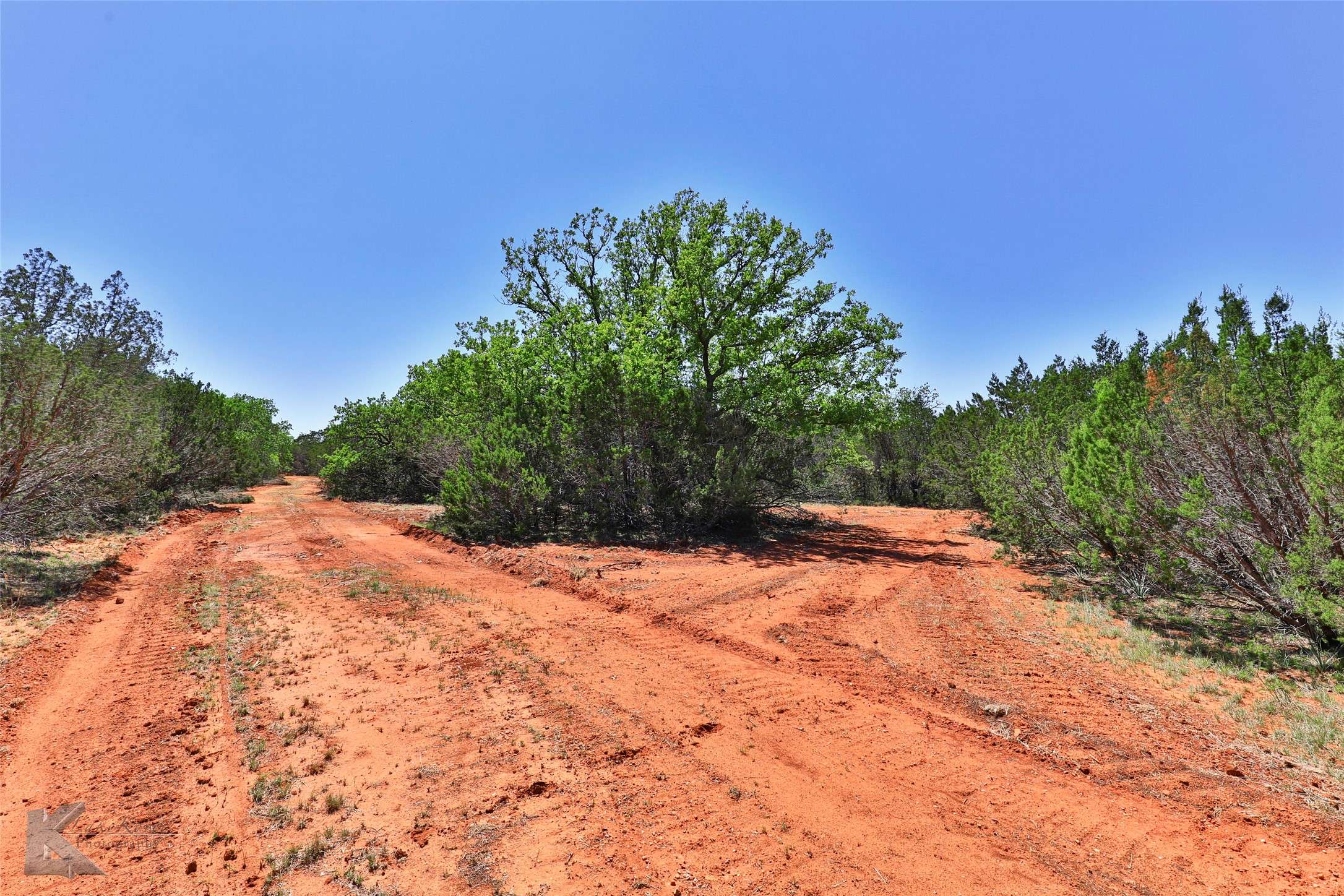 Ovalo, TX 79541,TBD CR 207