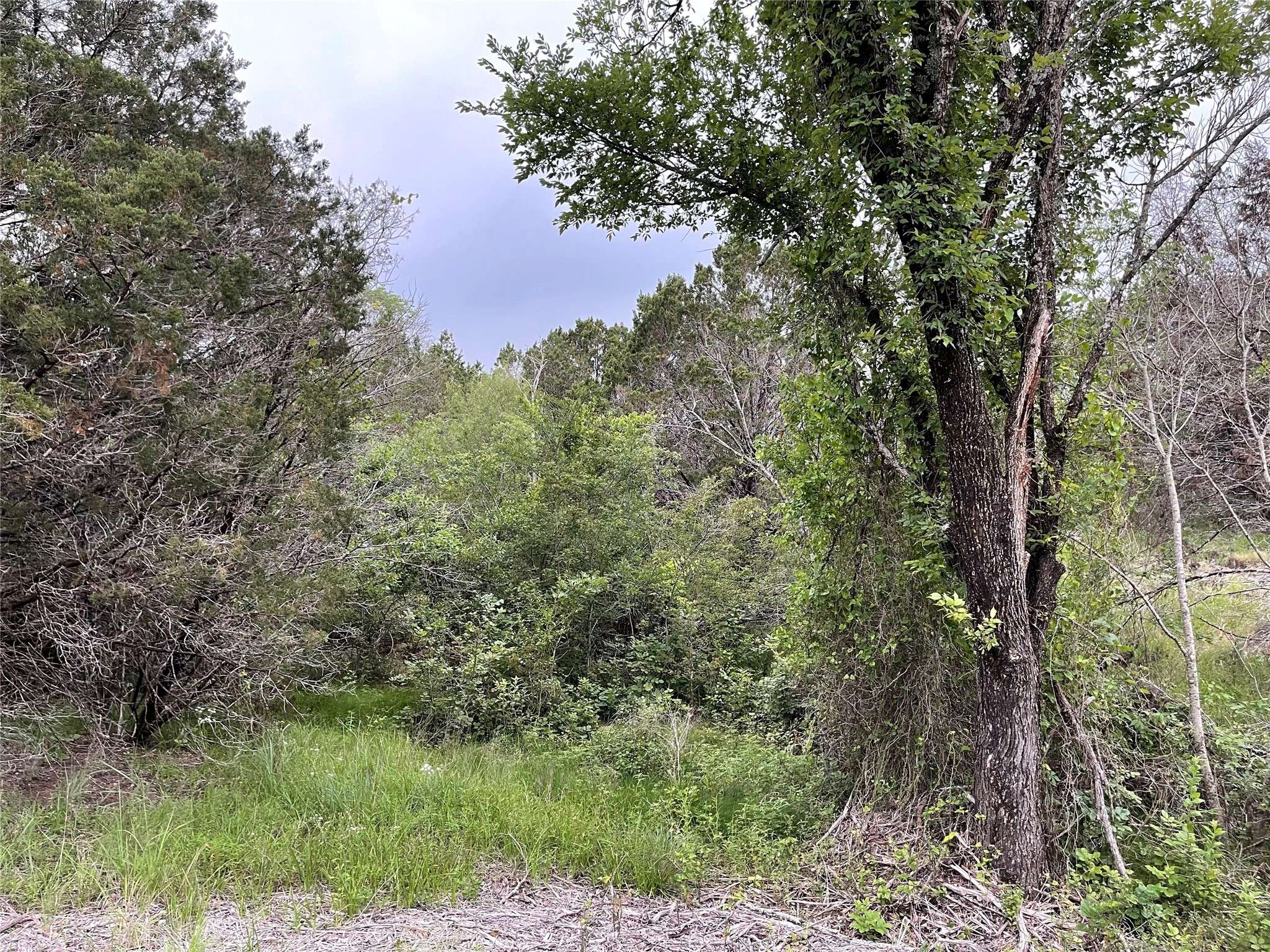 Nemo, TX 76070,1083 Cedar Hill DR