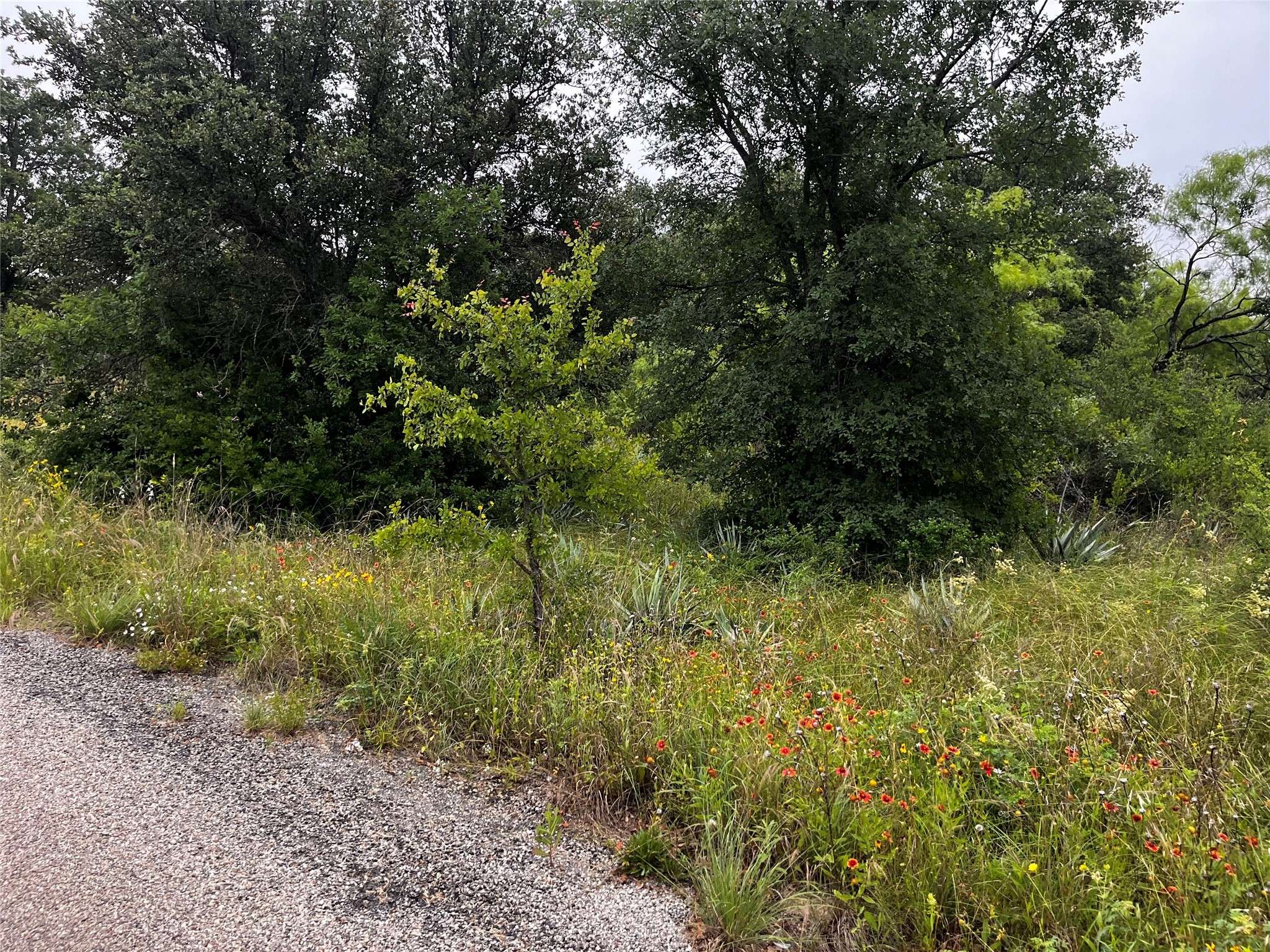 Brownwood, TX 76801,Lot 669 Ballycastle DR