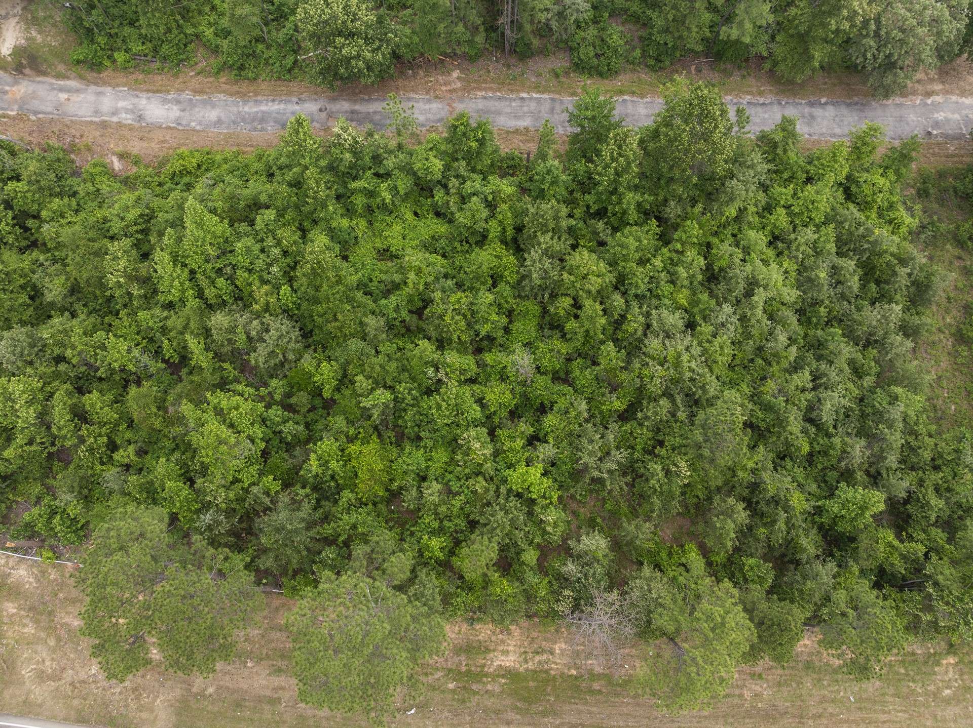 Scroggins, TX 75480,LOT R4 Big Pine Estates