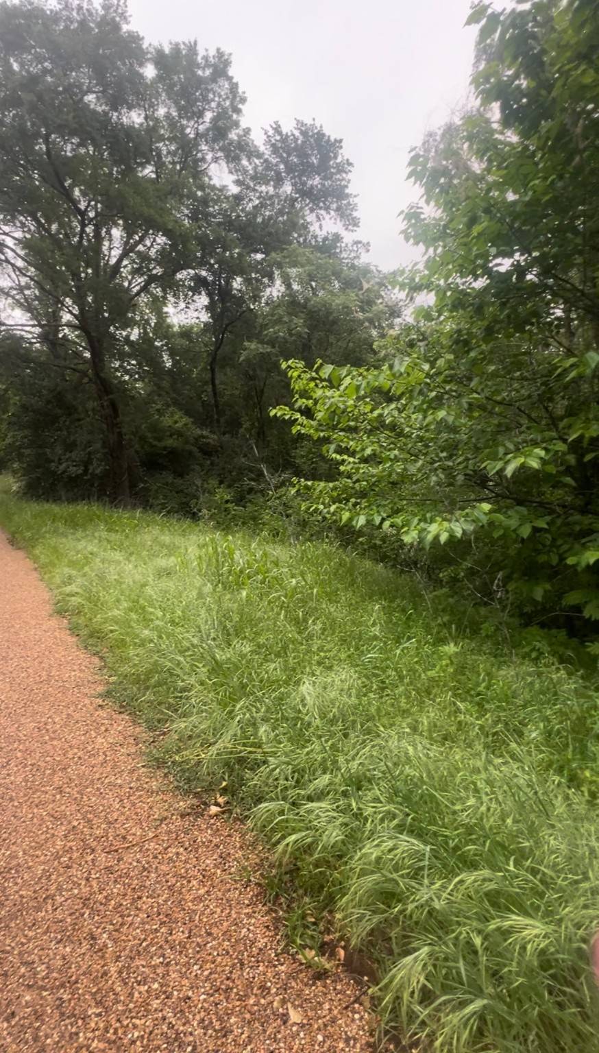 Eustace, TX 75124,000 Cartwright DR