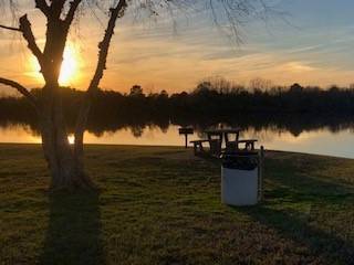 Natchitoches, LA 71457,0 Hampton RD #4