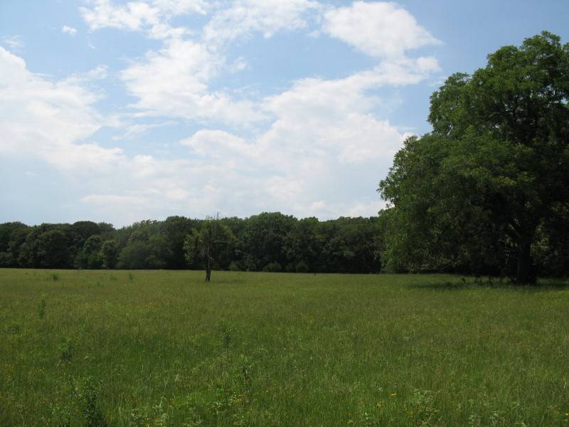 Grand Saline, TX 75140,TBD Van Zandt County Road 1111