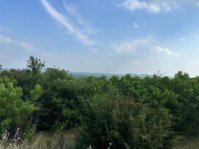 Graford, TX 76449,1041 Raven CIR