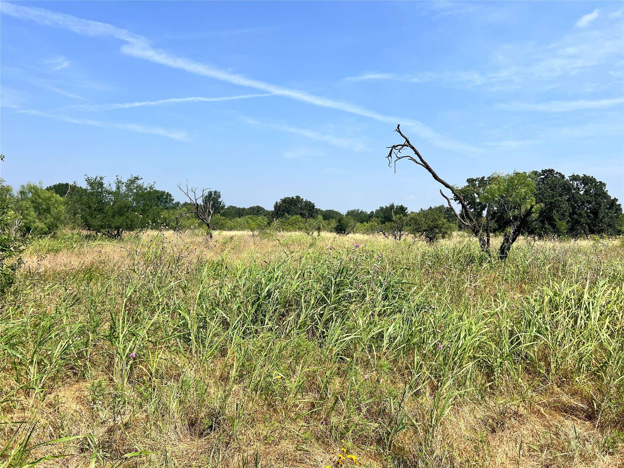 Brownwood, TX 76801,TBD Lot 65 Falcon DR