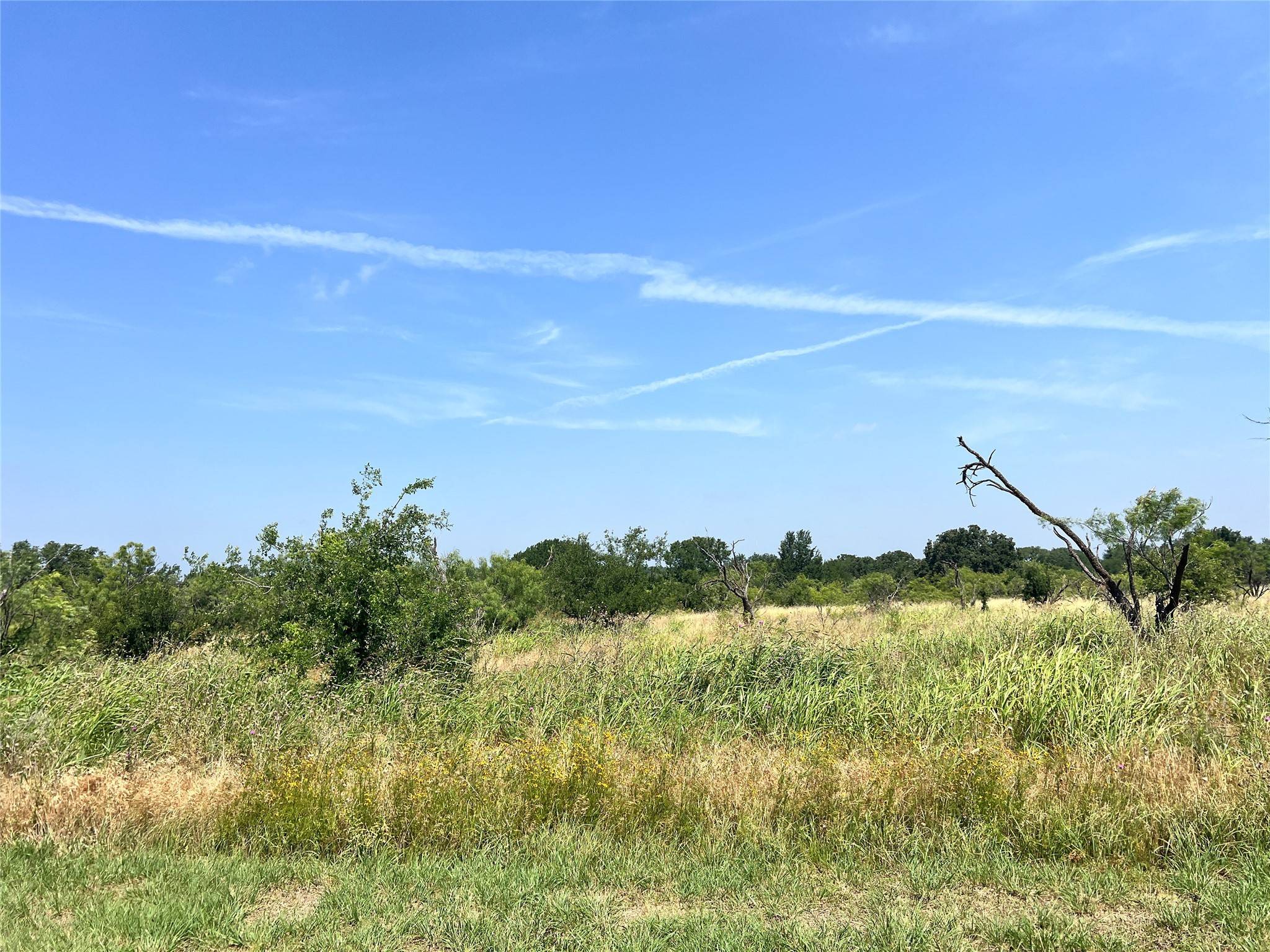 Brownwood, TX 76801,TBD Lot 65 Falcon DR