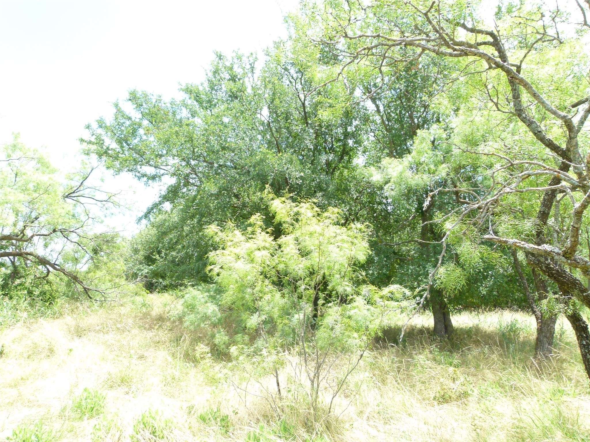 Brownwood, TX 76801,47 Bear Path WAY