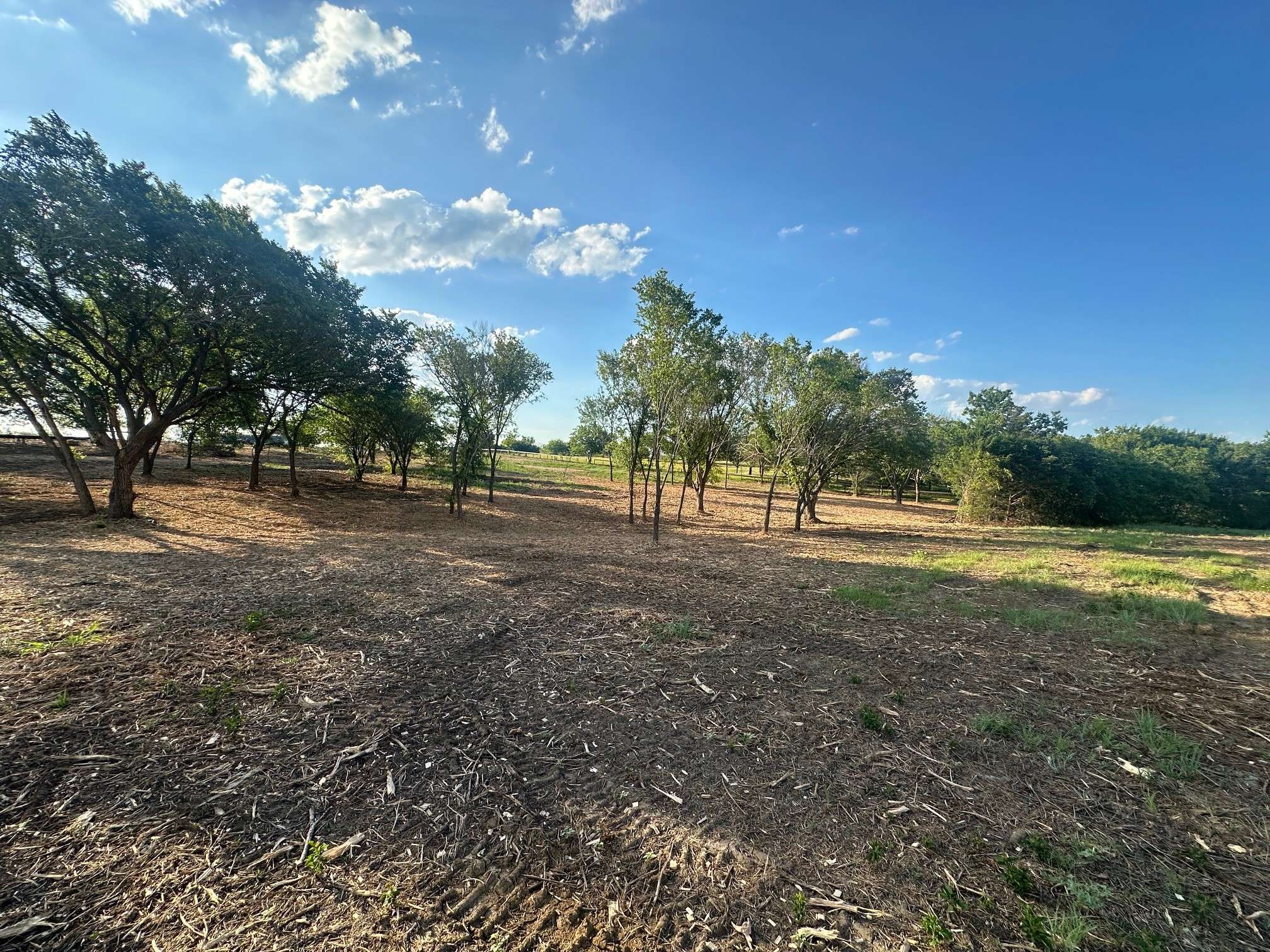 Sanger, TX 76266,1545 Ola Marie LN