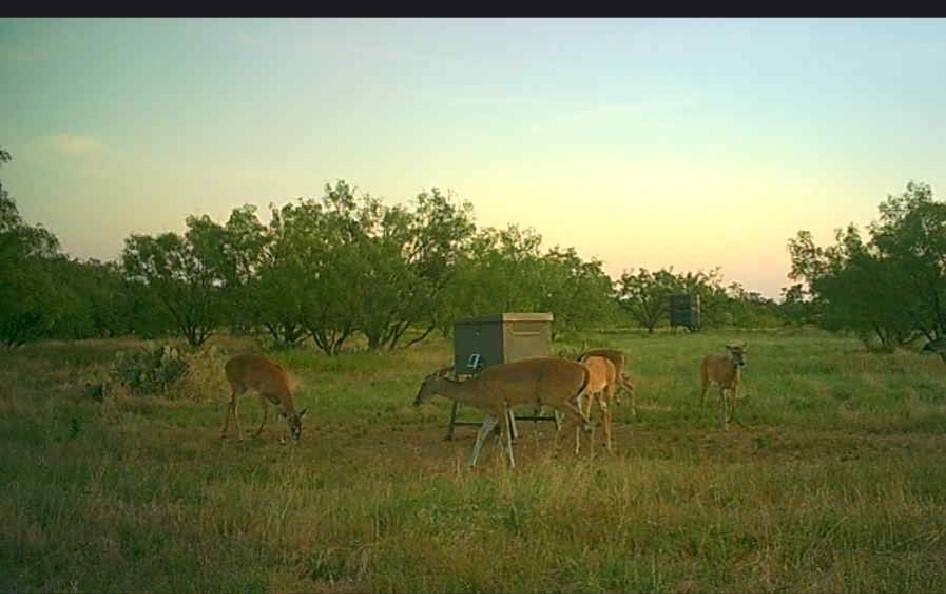 Cisco, TX 76437,5860 County Road 423