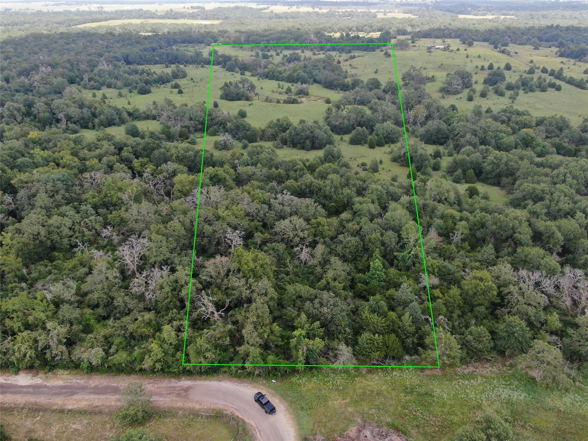 Buffalo, TX 75831,1 County Road 411