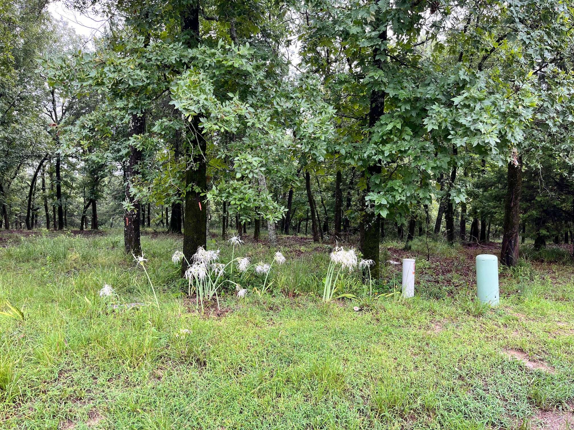 Larue, TX 75770,7650 Quail Hollow CT