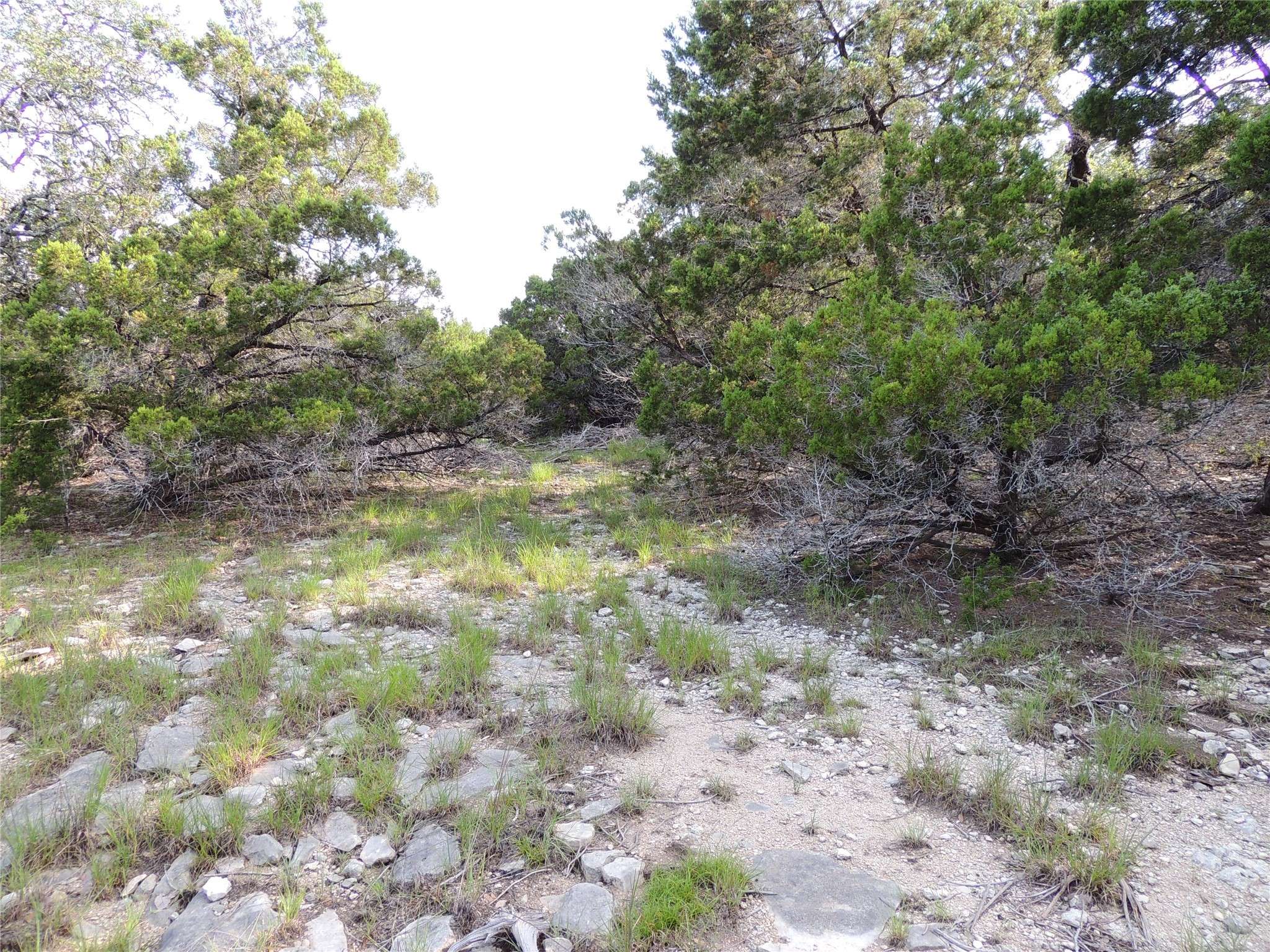 Canyon Lake, TX 78133,1490 Desiree ST