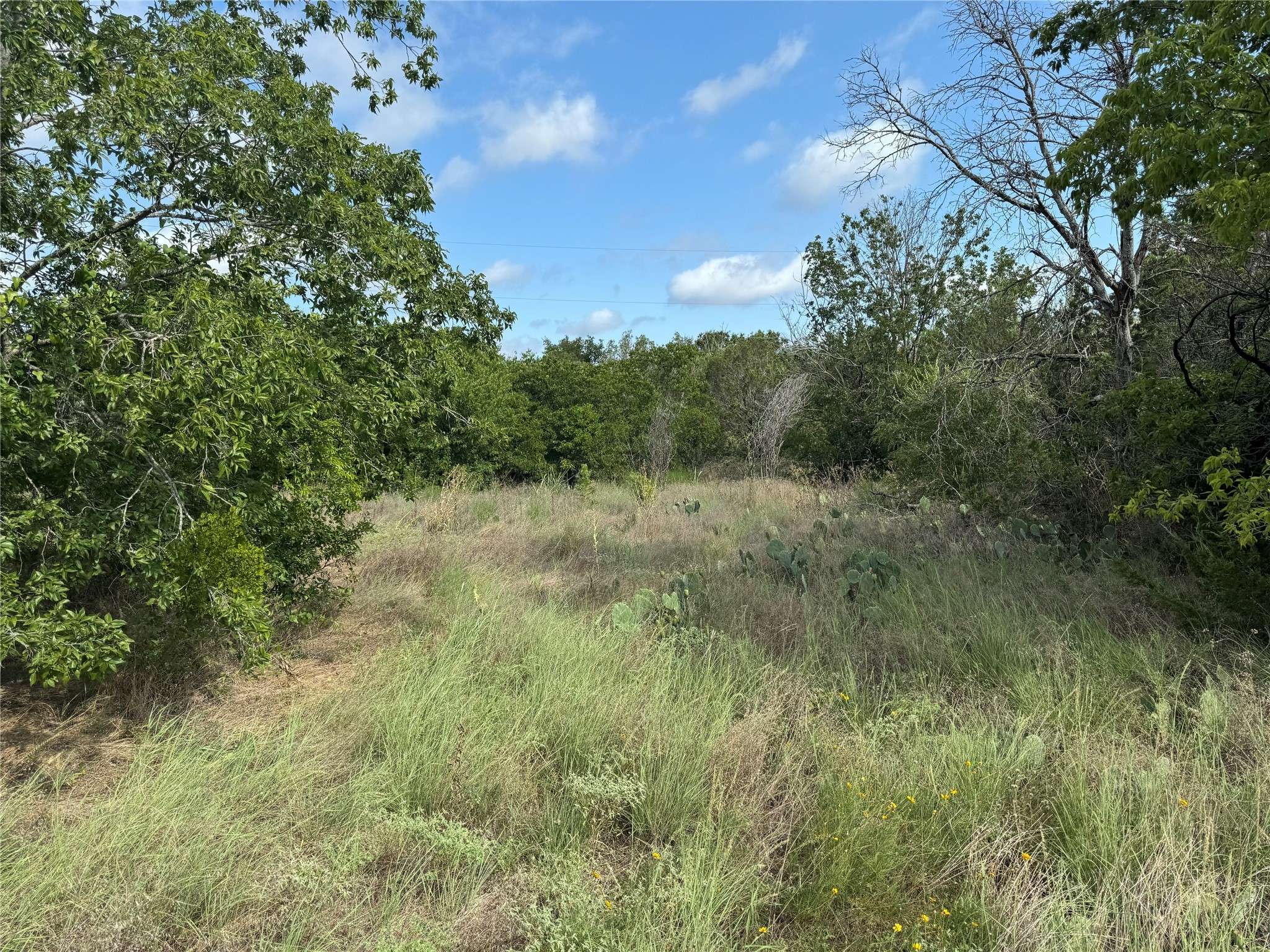 Granbury, TX 76048,3610 Woodlake DR