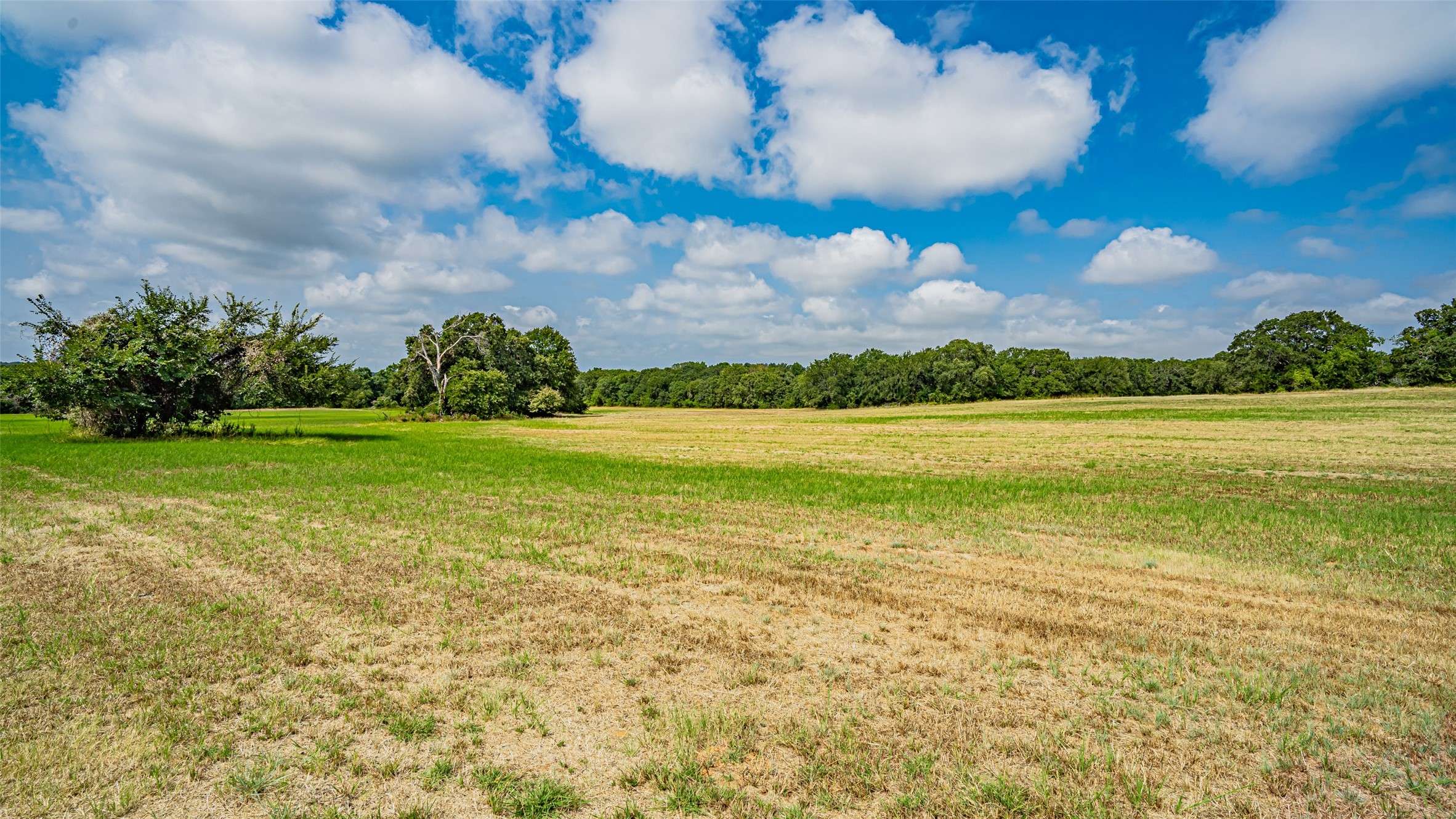 Azle, TX 76020,TBD 1 Briar RD