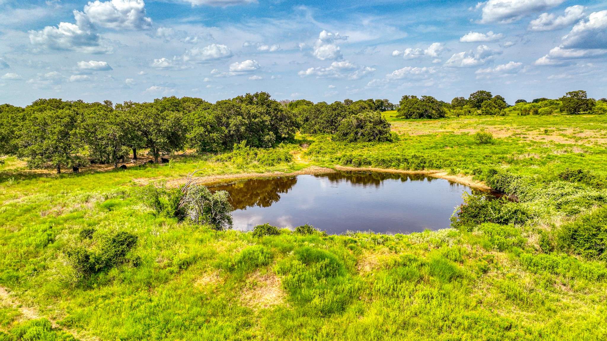 Lipan, TX 76462,11500 Bowden RD