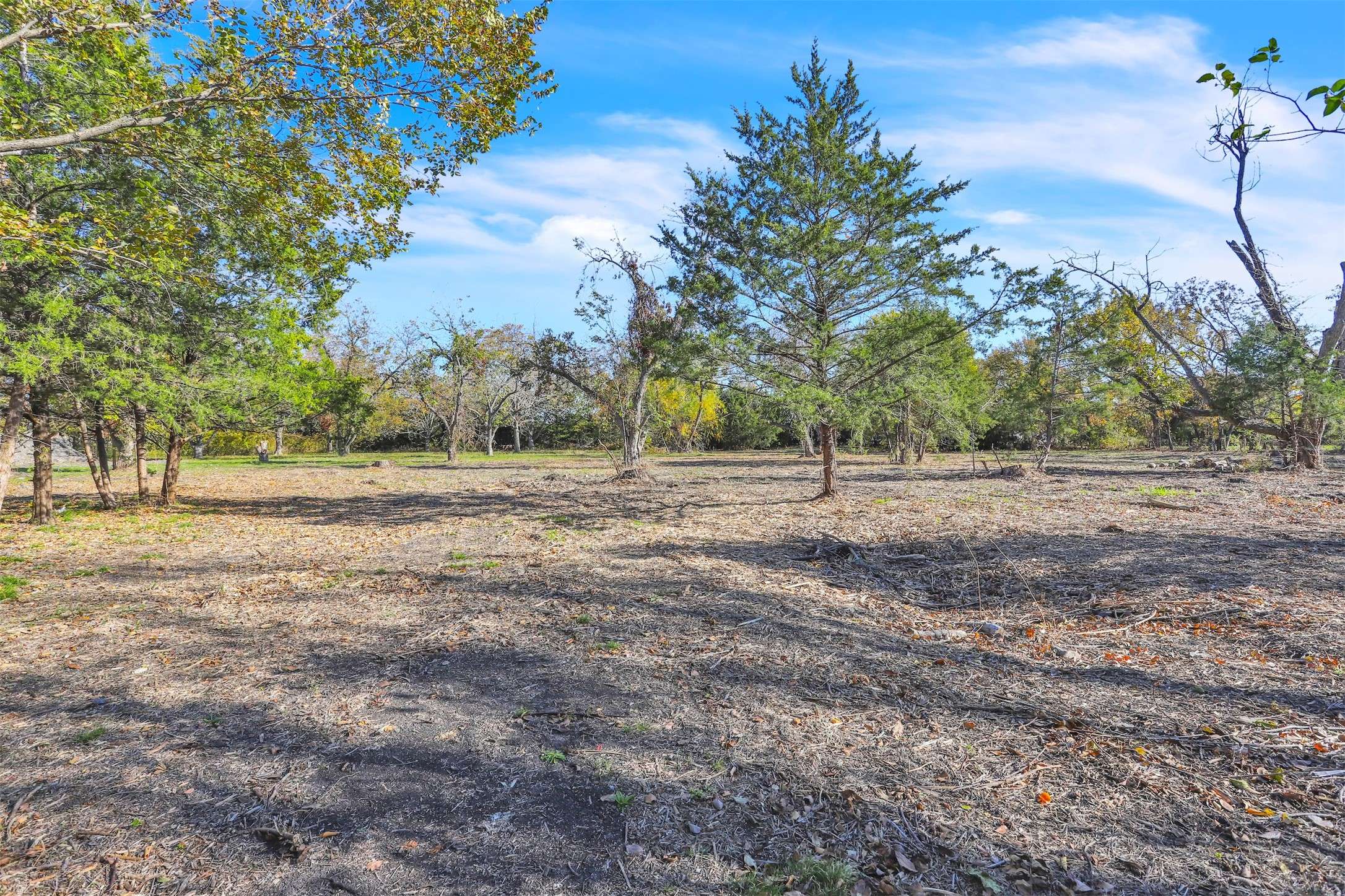 Forney, TX 75126,507 Kaufman ST