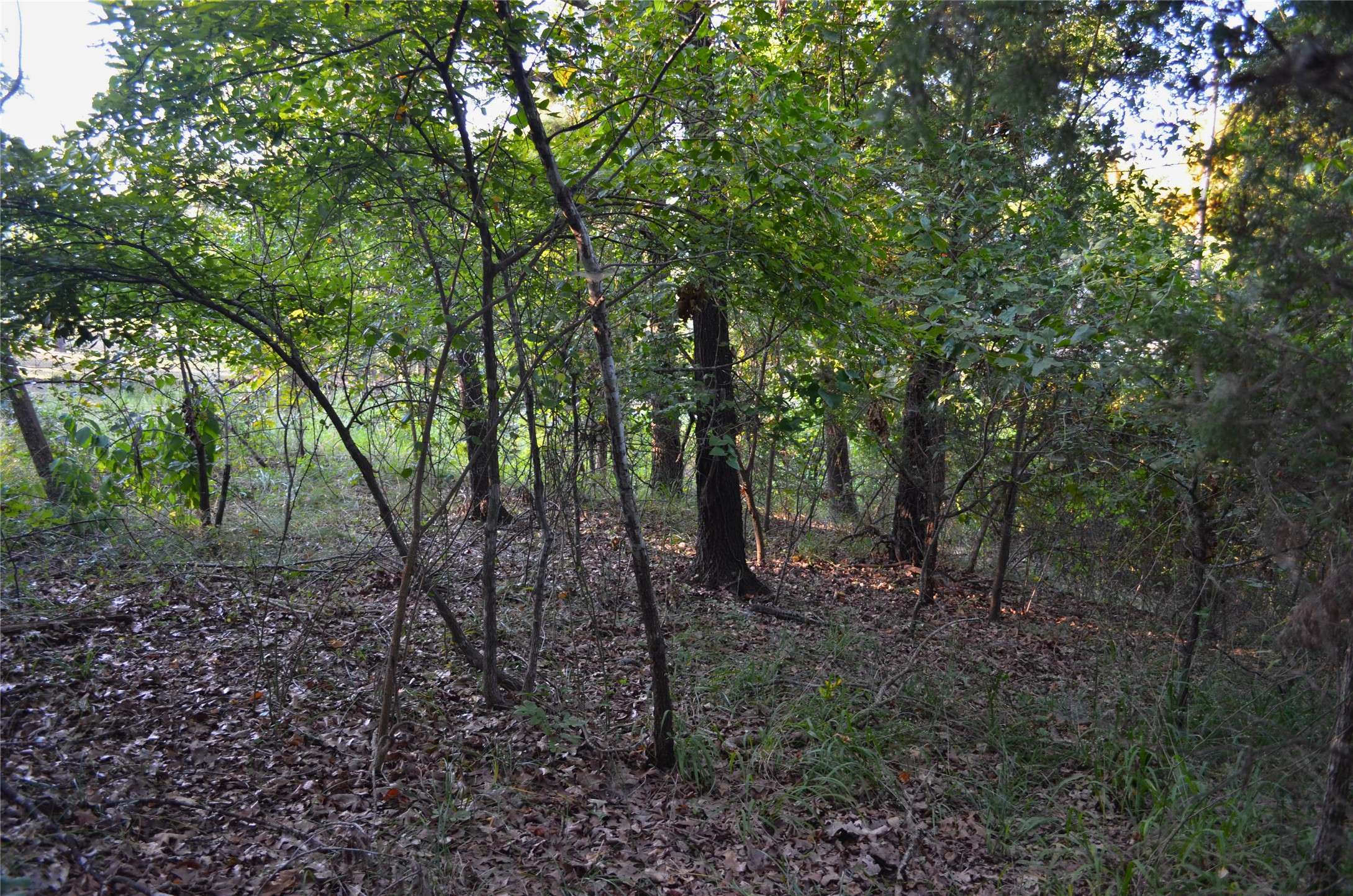 Log Cabin, TX 75148,000 Goliad DR