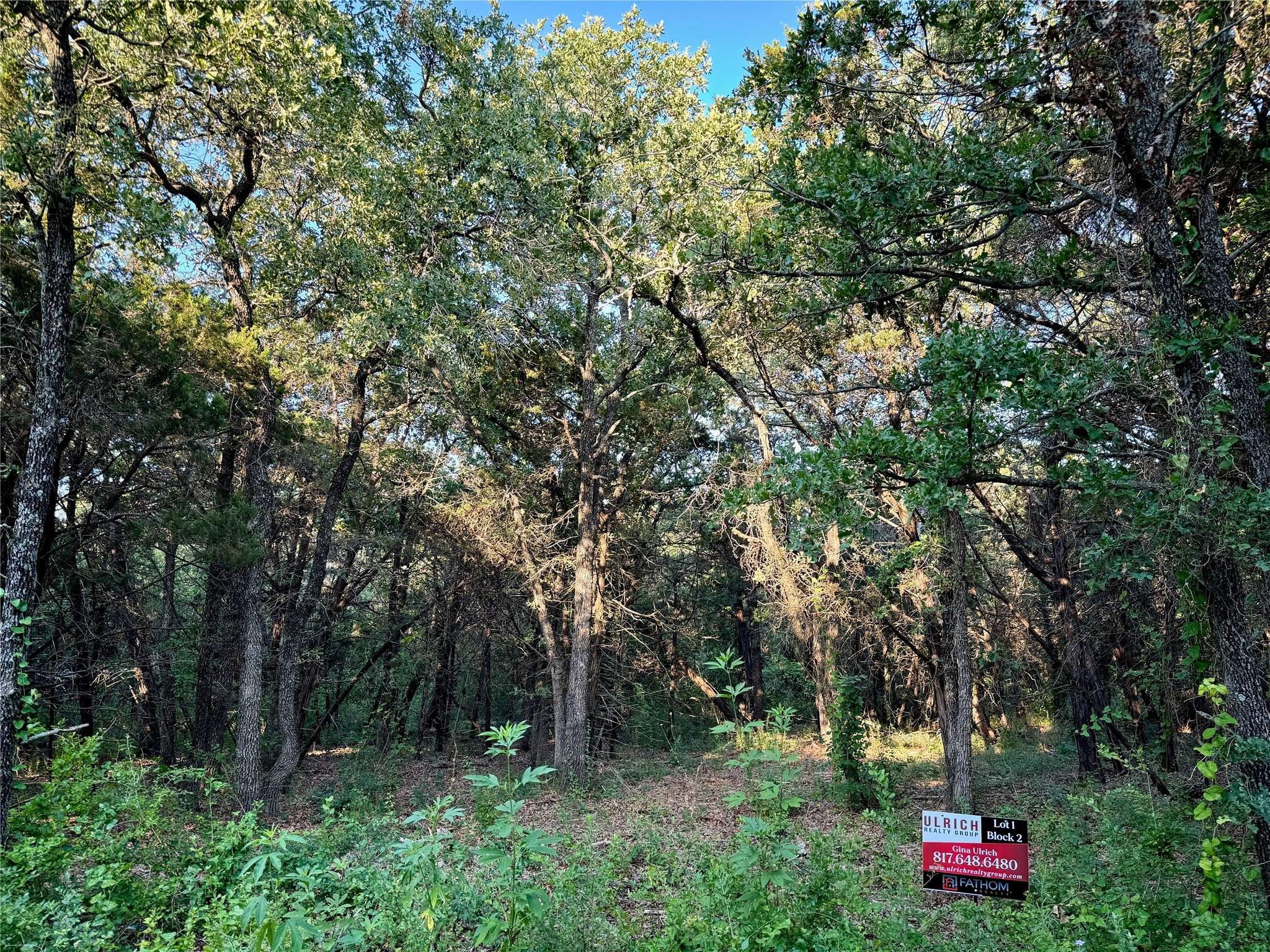 Cleburne, TX 76033,10600 County Road 1117