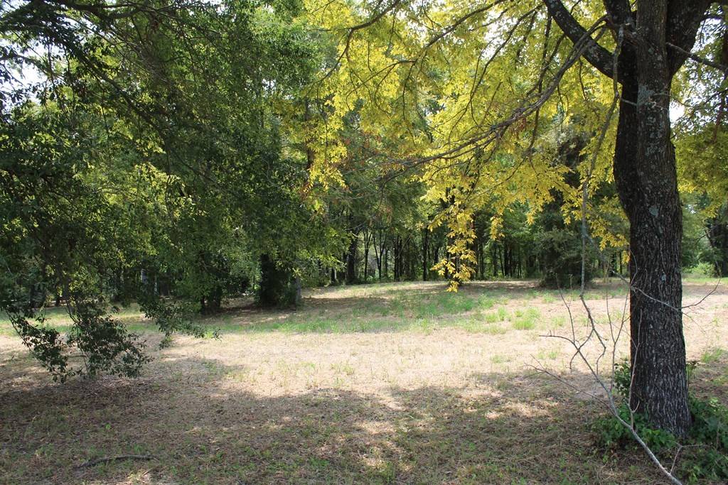 Mabank, TX 75143,317 Cedar Creek Landing LN