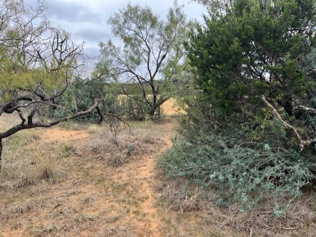 Early, TX 76802,6500 183 HWY E