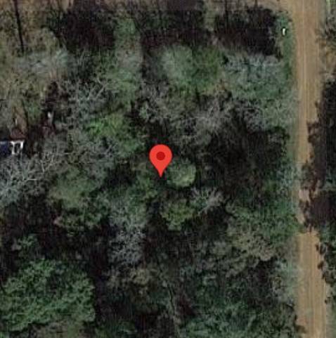 Coldspring, TX 77331,21 W Holt ST
