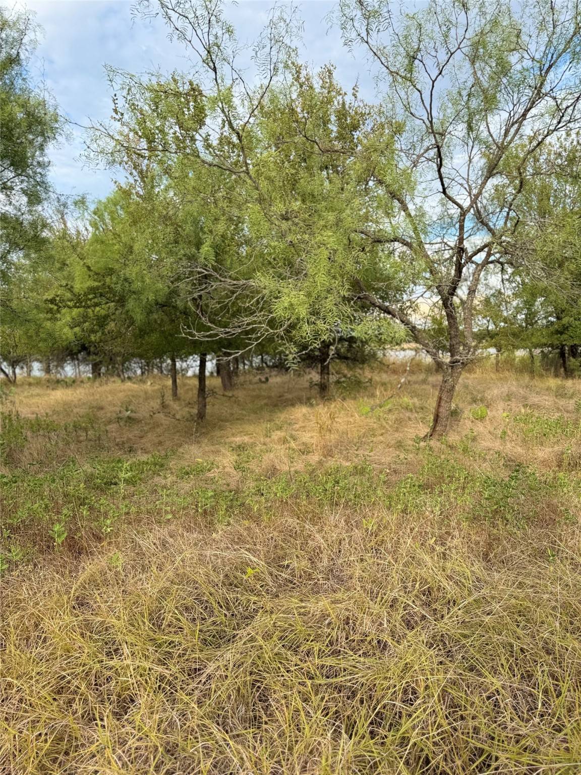 Brownwood, TX 76801,TBD S Beacon LN
