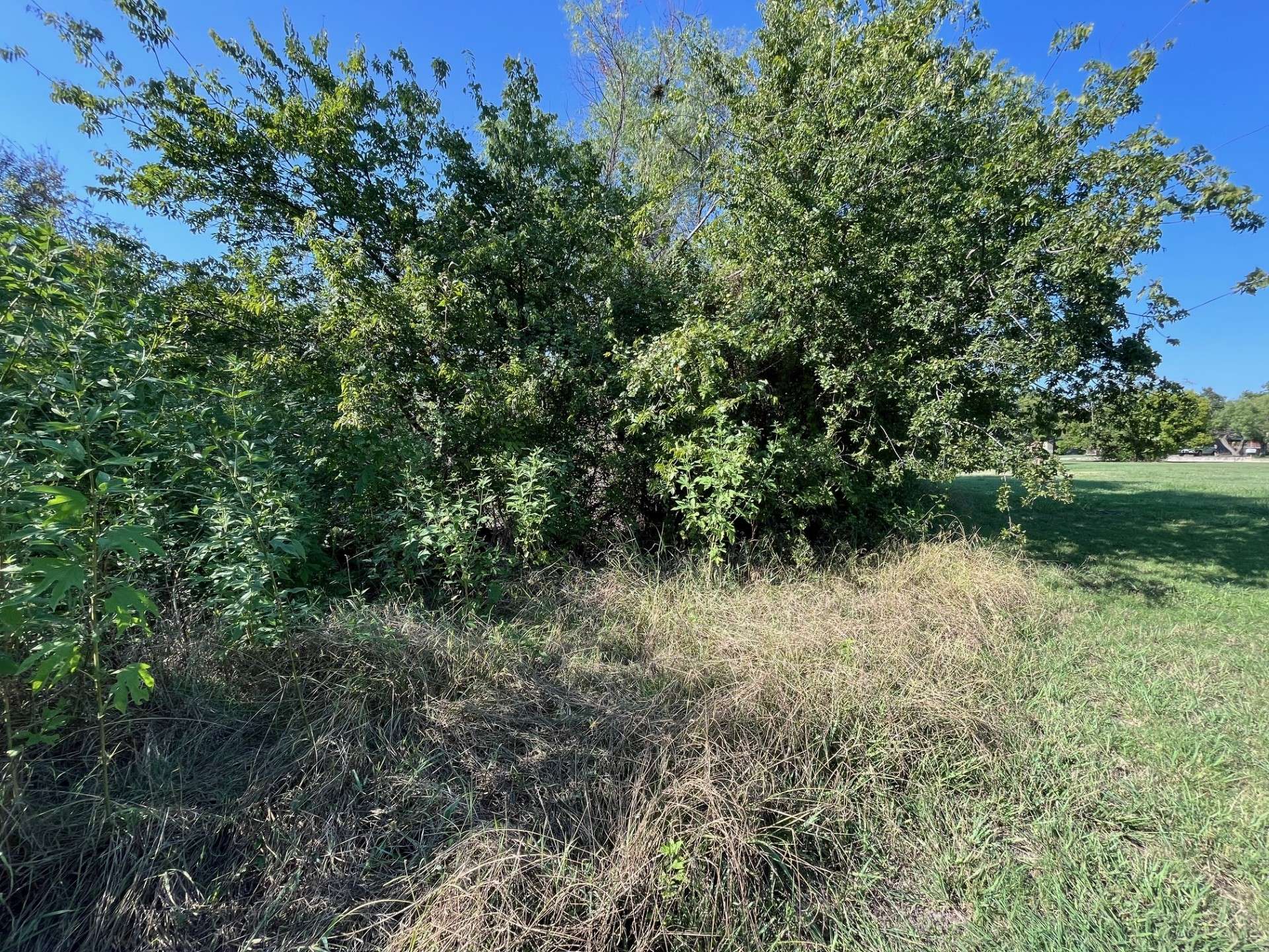Early, TX 76802,114 Greentree CIR