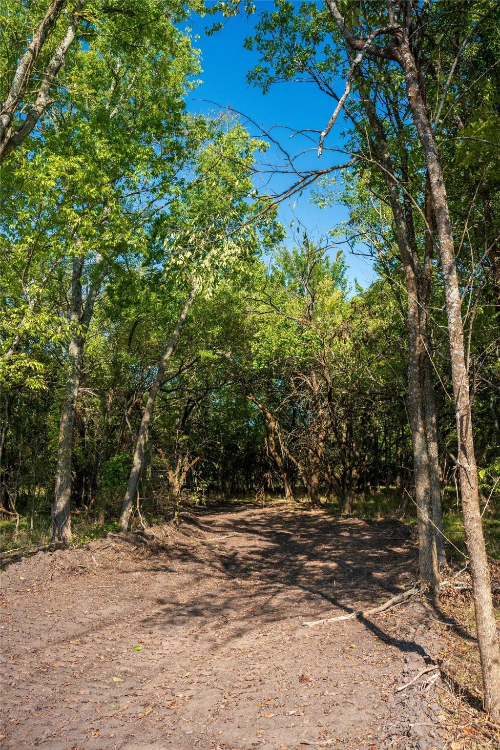 Ladonia, TX 75449,T.B.D. County Road 3660