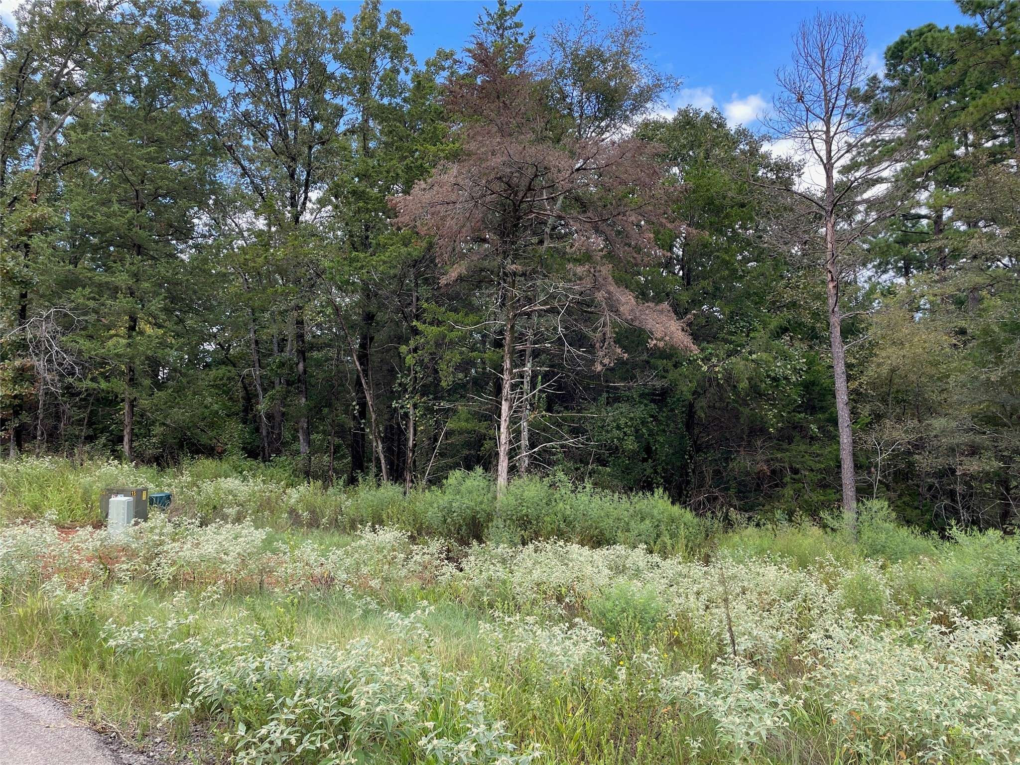 Lindale, TX 75771,Lot 19 TBD Cedarpark PL
