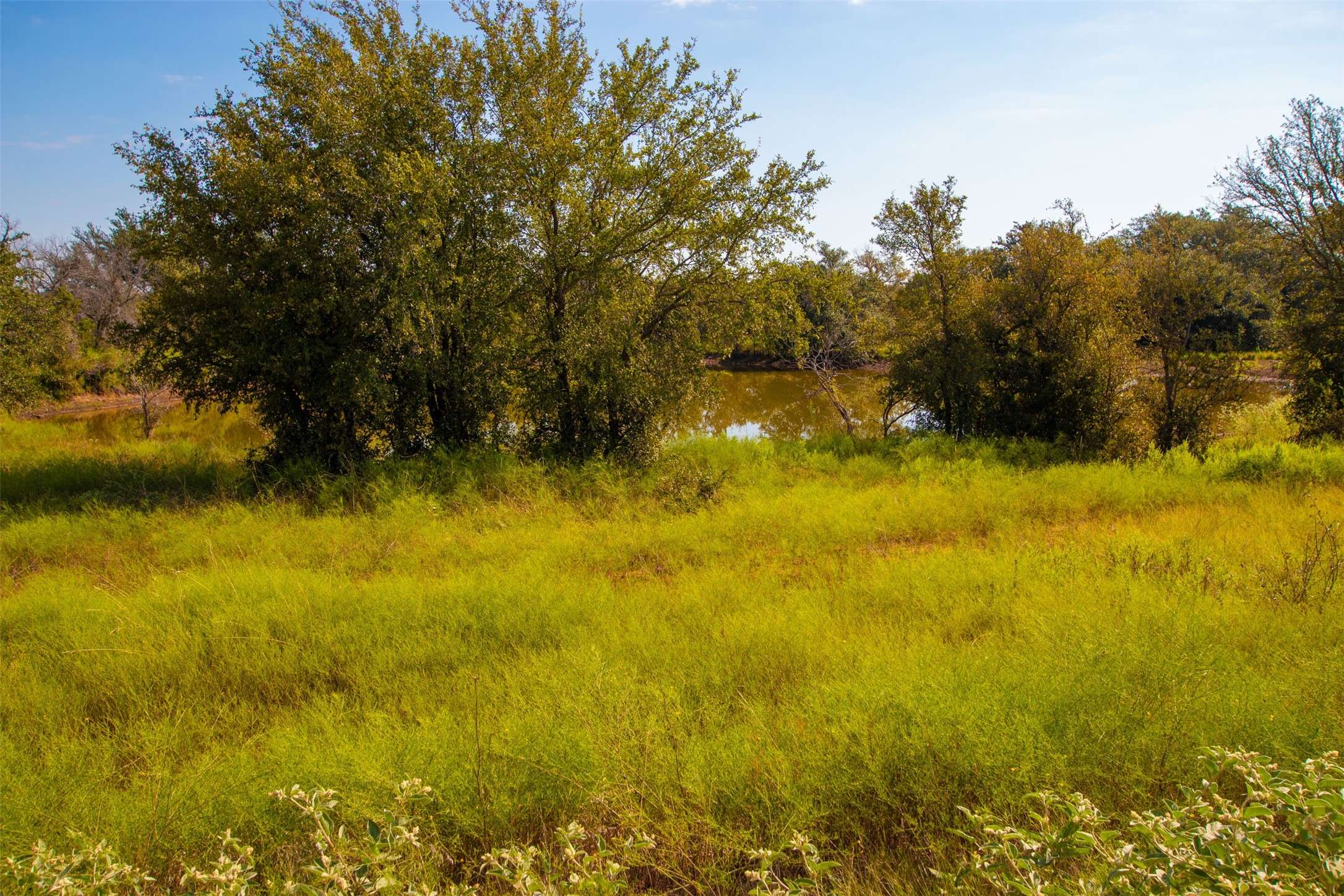 Santo, TX 76484,00 OO