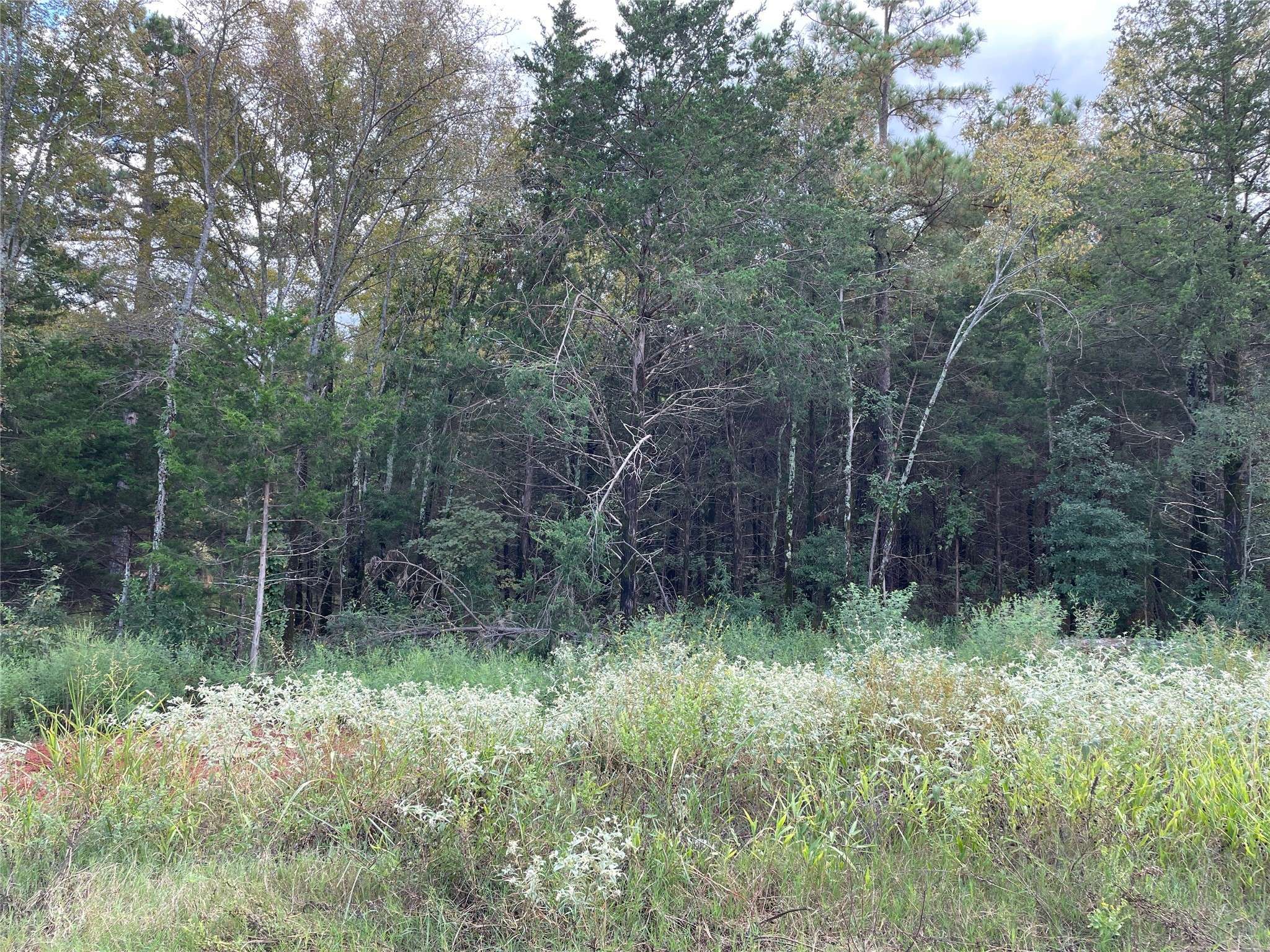 Lindale, TX 75771,Lot 23 19461 Cedarpark PL