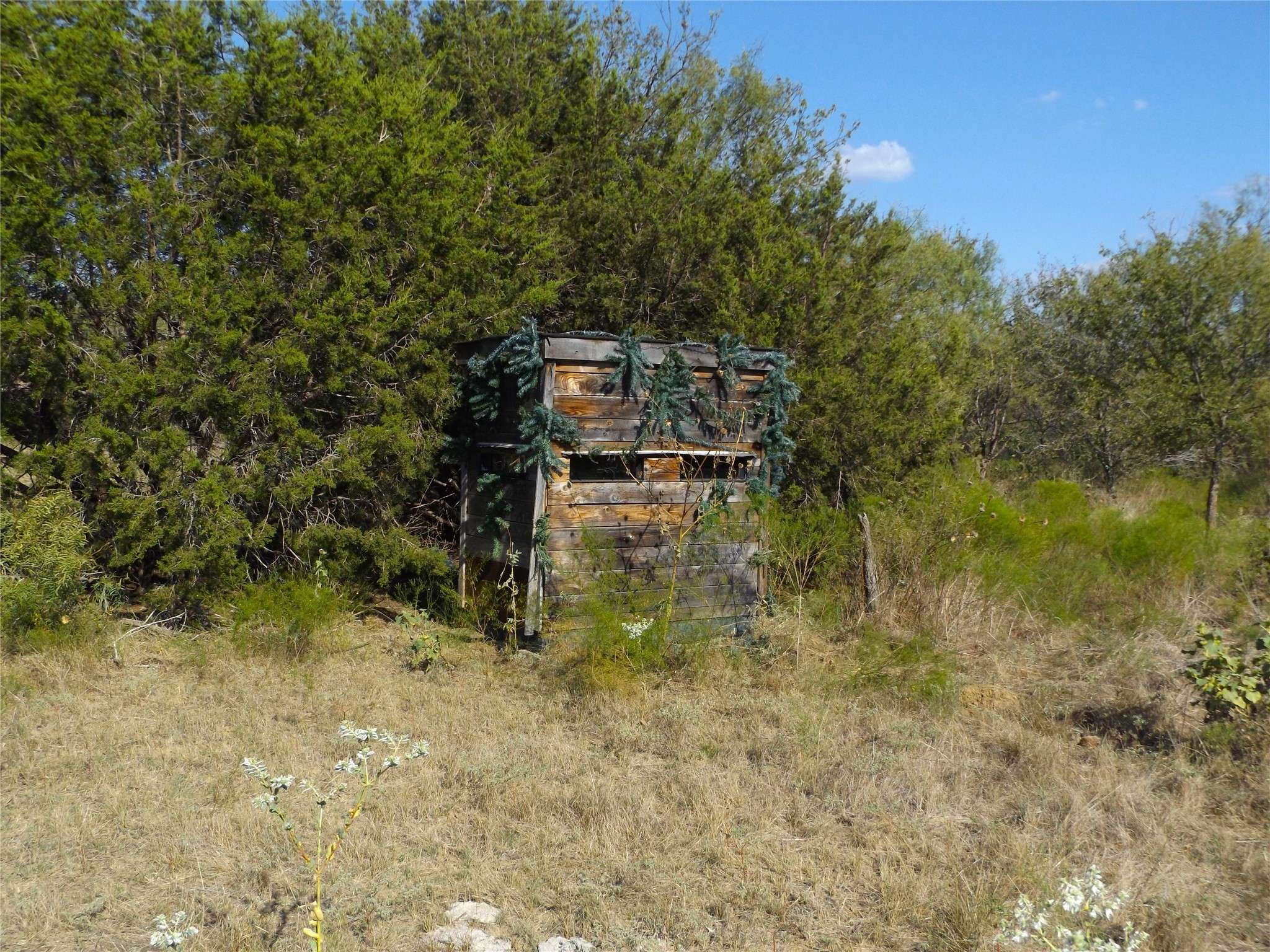 Oran, TX 76449,TBD Old Christian RD