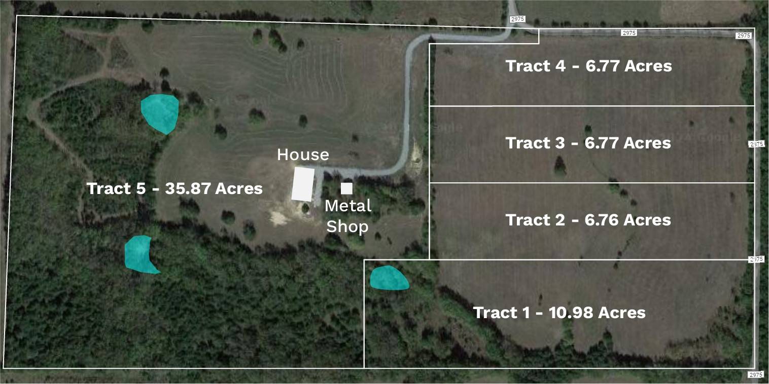 Dodd City, TX 75438,Tract 2 County Road 2975