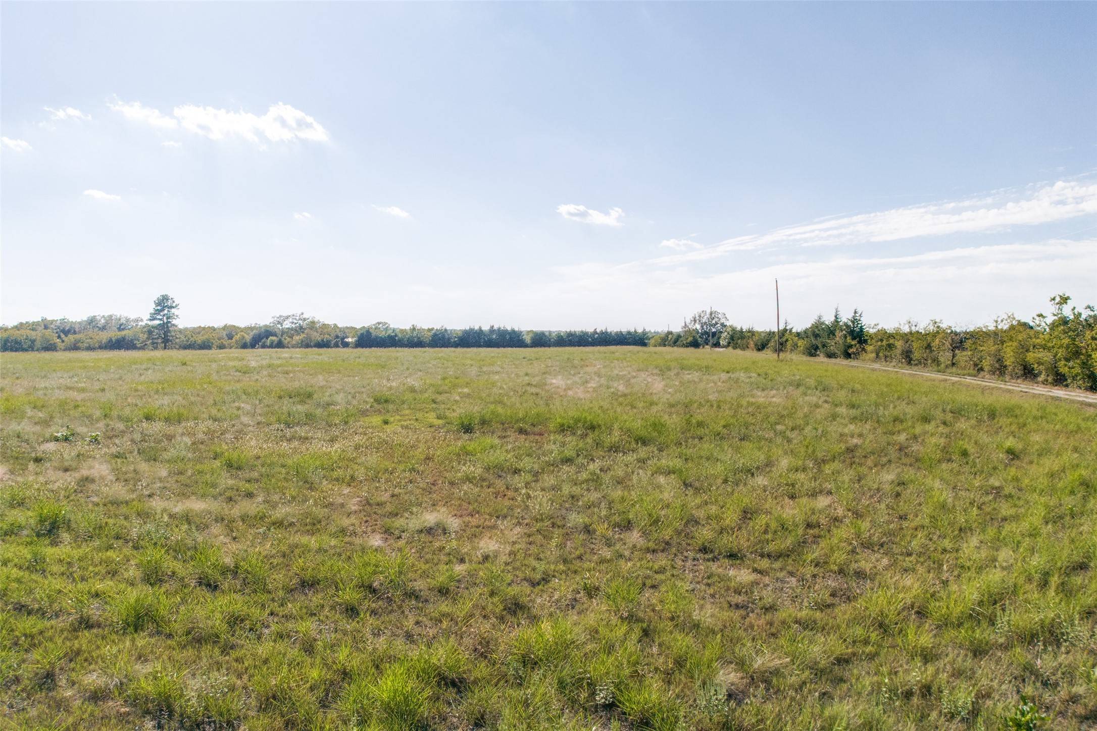Dodd City, TX 75438,Tract 3 County Road 2975